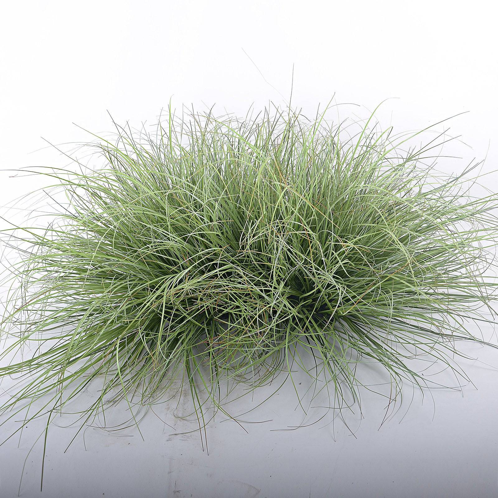 Handmade Decorative Artificial Shrub Sh2018-149 - Plants - ebarza Furniture UAE | Shop Modern Furniture in Abu Dhabi & Dubai - مفروشات ايبازرا في الامارات | تسوق اثاث عصري وديكورات مميزة في دبي وابوظبي