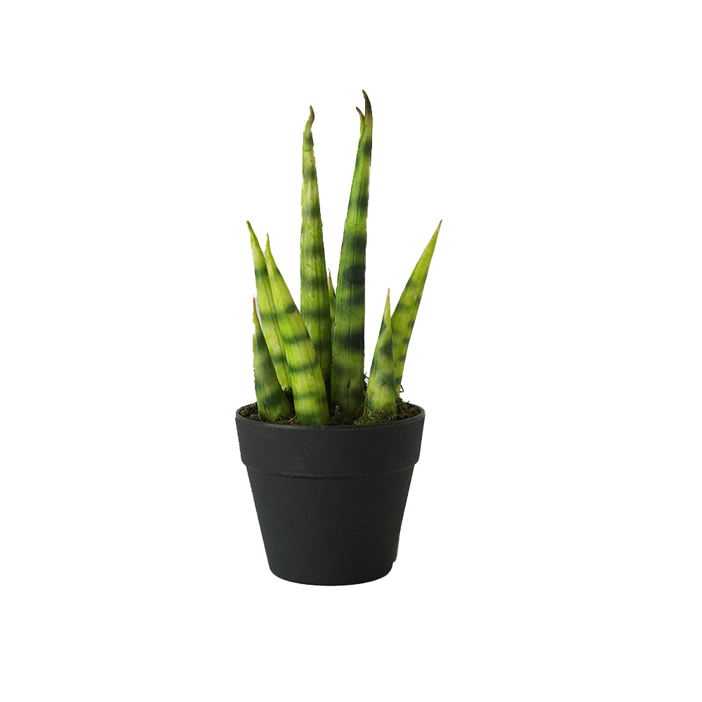 Handmade Decorative Potted Aloe Plant N36020-PZ154 - Plants - ebarza Furniture UAE | Shop Modern Furniture in Abu Dhabi & Dubai - مفروشات ايبازرا في الامارات | تسوق اثاث عصري وديكورات مميزة في دبي وابوظبي