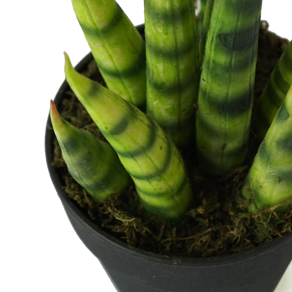 Handmade Decorative Potted Aloe Plant N36020-PZ154 - Plants - ebarza Furniture UAE | Shop Modern Furniture in Abu Dhabi & Dubai - مفروشات ايبازرا في الامارات | تسوق اثاث عصري وديكورات مميزة في دبي وابوظبي