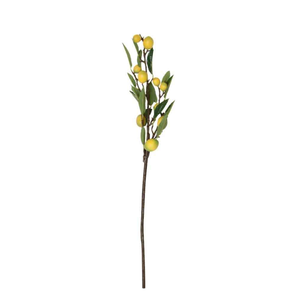 Lemon Branch Fa-Jh1908 - Plants - ebarza Furniture UAE | Shop Modern Furniture in Abu Dhabi & Dubai - مفروشات ايبازرا في الامارات | تسوق اثاث عصري وديكورات مميزة في دبي وابوظبي