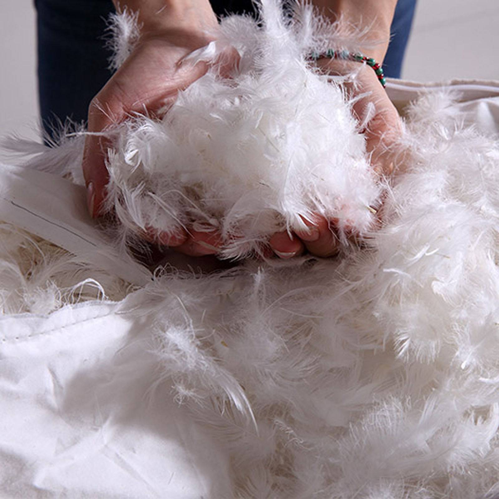 Lille Lounge Chair LC008-Black - Lounge Chairs - ebarza Furniture UAE | Shop Modern Furniture in Abu Dhabi & Dubai - مفروشات ايبازرا في الامارات | تسوق اثاث عصري وديكورات مميزة في دبي وابوظبي