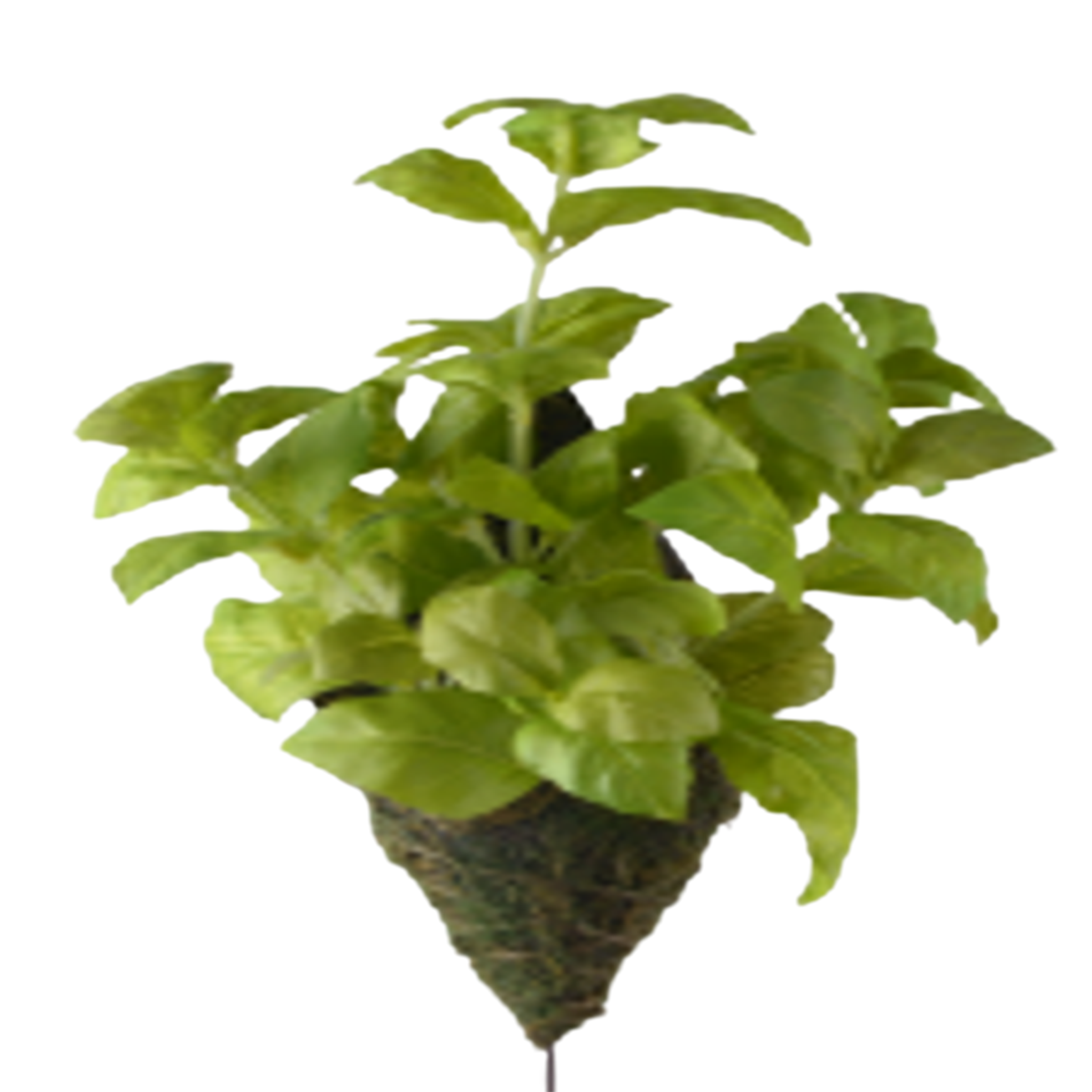 Handmade Decorative Artificial Plant N37020-G040-BU - Plants - ebarza Furniture UAE | Shop Modern Furniture in Abu Dhabi & Dubai - مفروشات ايبازرا في الامارات | تسوق اثاث عصري وديكورات مميزة في دبي وابوظبي