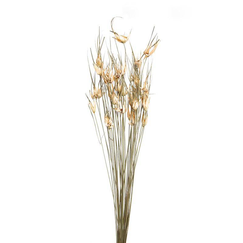 Natural Dried Flower Decoration A Fa-Jh2005A - Plants - ebarza Furniture UAE | Shop Modern Furniture in Abu Dhabi & Dubai - مفروشات ايبازرا في الامارات | تسوق اثاث عصري وديكورات مميزة في دبي وابوظبي