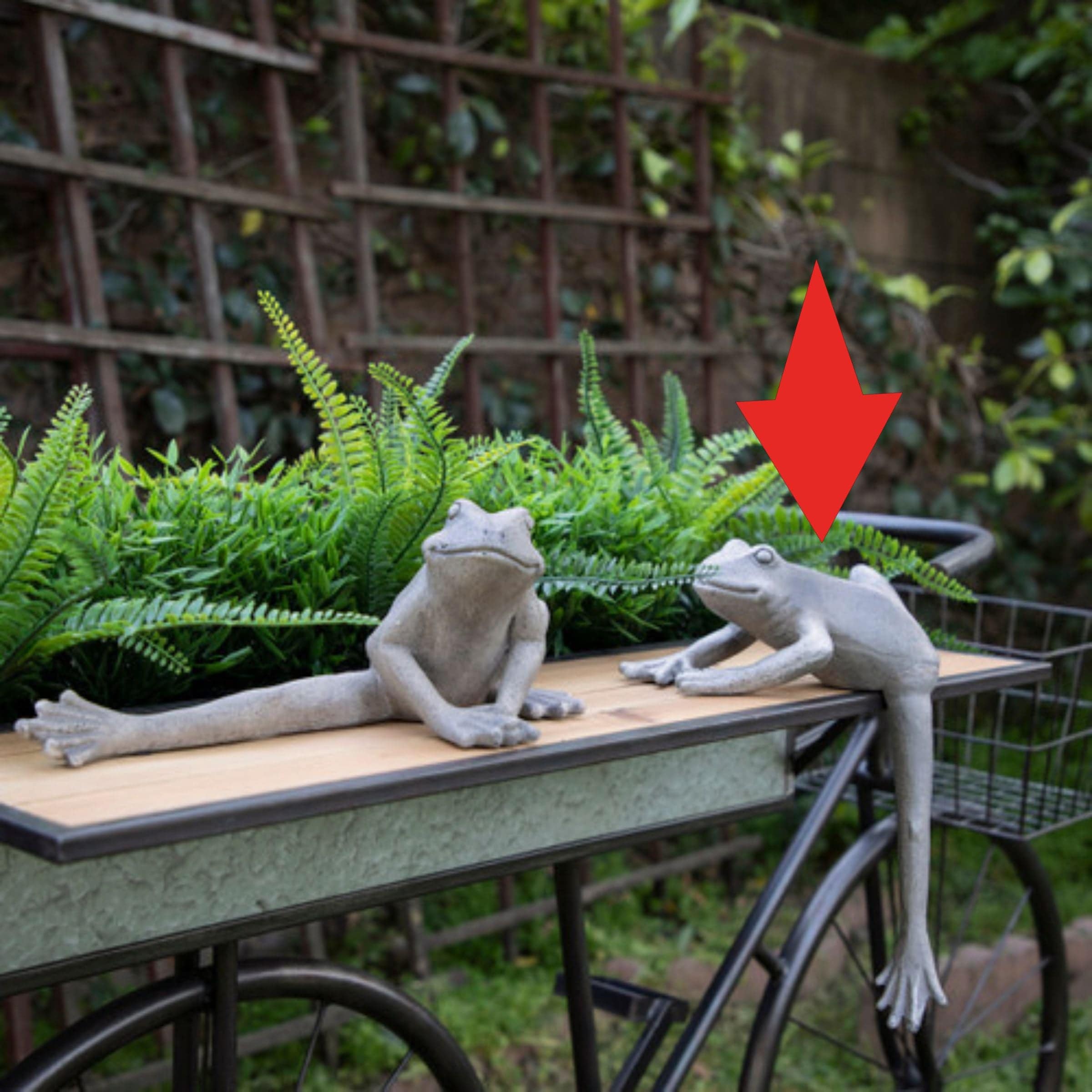 Resin Frog With Leg Down 12180-01 -  Home Decor Figurines - ebarza Furniture UAE | Shop Modern Furniture in Abu Dhabi & Dubai - مفروشات ايبازرا في الامارات | تسوق اثاث عصري وديكورات مميزة في دبي وابوظبي