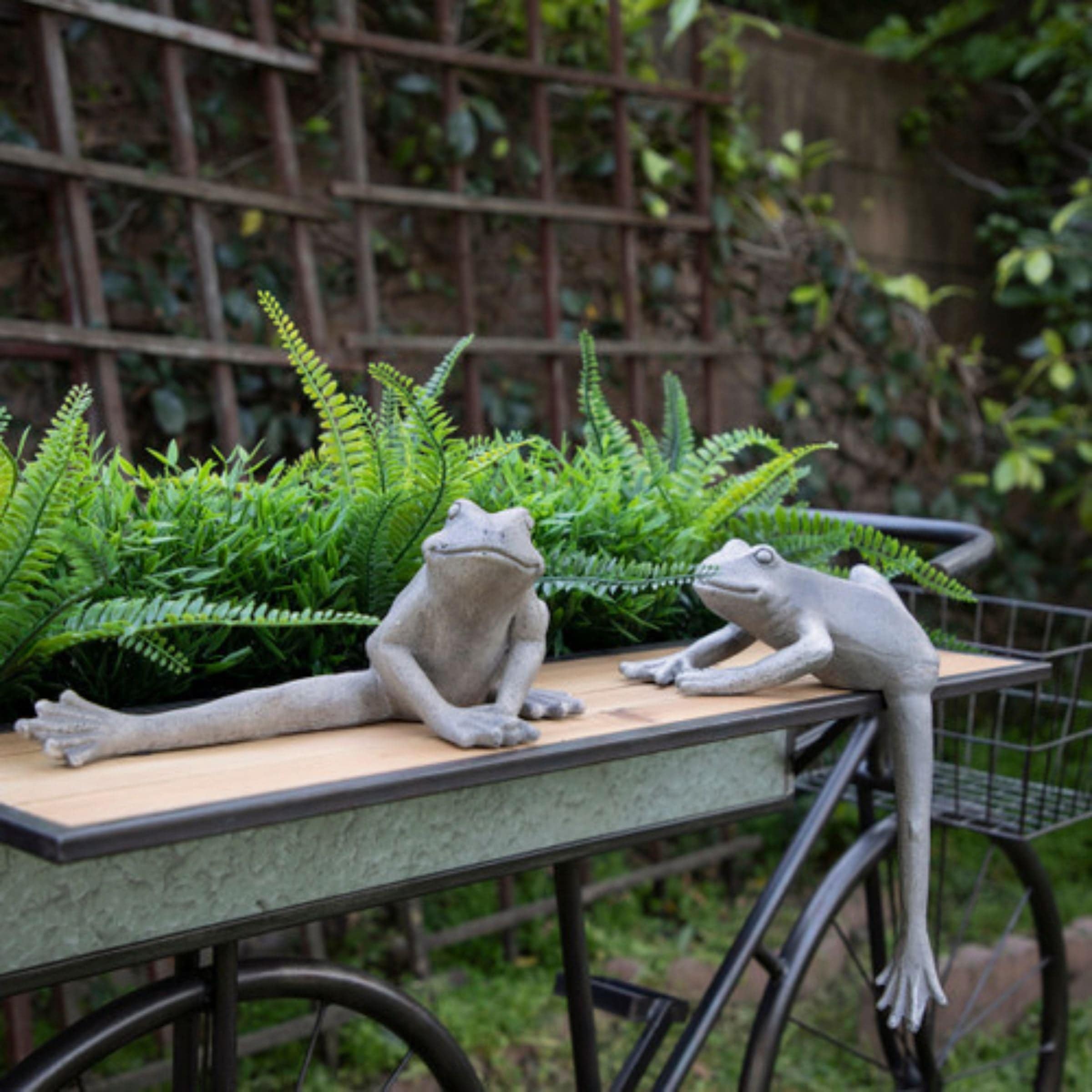 Resin Frog With Leg Down 12180-01 - Home Decor Figurines - ebarza Furniture UAE | Shop Modern Furniture in Abu Dhabi & Dubai - مفروشات ايبازرا في الامارات | تسوق اثاث عصري وديكورات مميزة في دبي وابوظبي