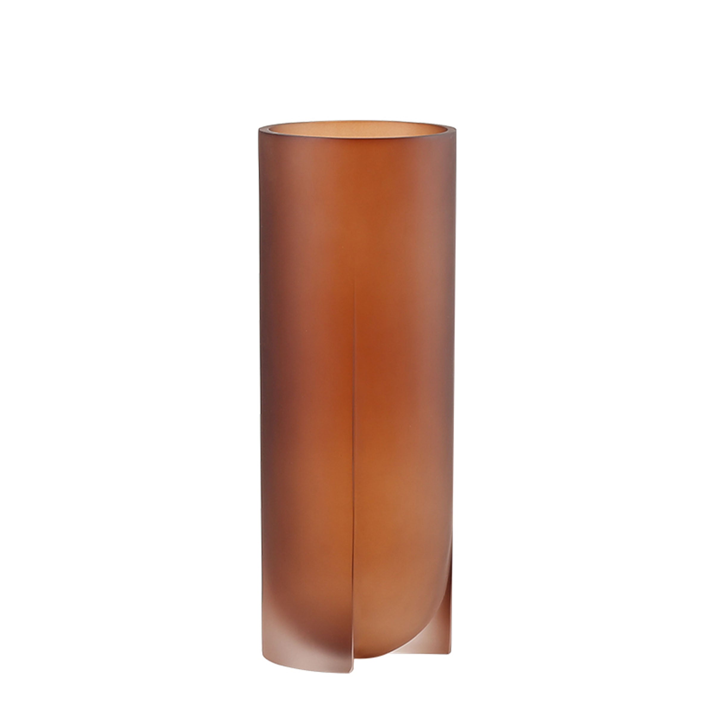 Transparent Resin Vase Brown FC-SZ22043B-Clay -  Vases - ebarza Furniture UAE | Shop Modern Furniture in Abu Dhabi & Dubai - مفروشات ايبازرا في الامارات | تسوق اثاث عصري وديكورات مميزة في دبي وابوظبي