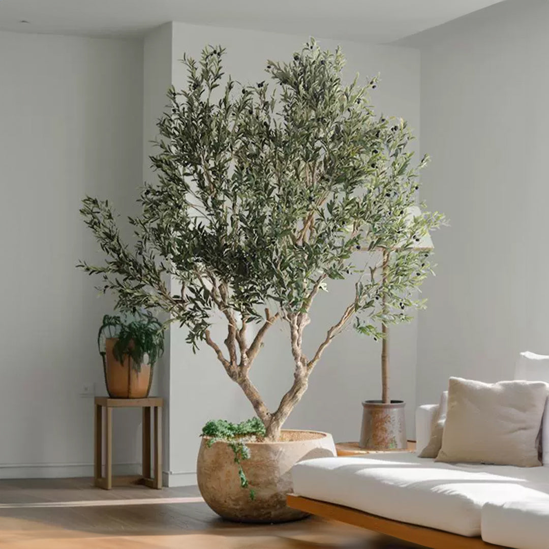 Simulated Olive Tree CT01-Olive -  Plants - ebarza Furniture UAE | Shop Modern Furniture in Abu Dhabi & Dubai - مفروشات ايبازرا في الامارات | تسوق اثاث عصري وديكورات مميزة في دبي وابوظبي