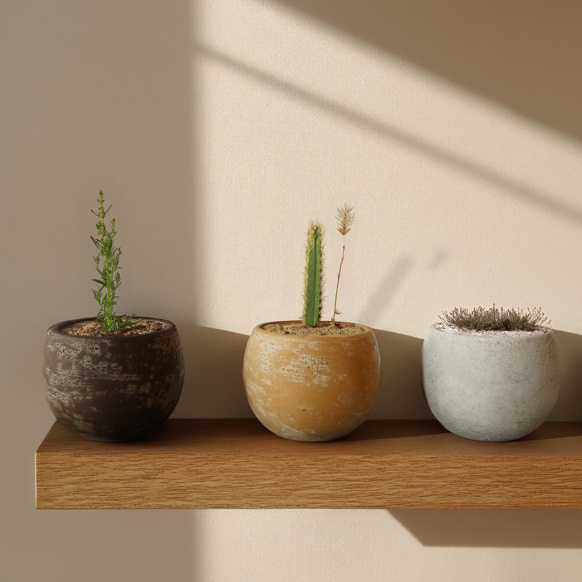 Terracotta Groove Outdoor/Indoor Planter Box WSCL  8085F-5 -  Planter Boxes - ebarza Furniture UAE | Shop Modern Furniture in Abu Dhabi & Dubai - مفروشات ايبازرا في الامارات | تسوق اثاث عصري وديكورات مميزة في دبي وابوظبي