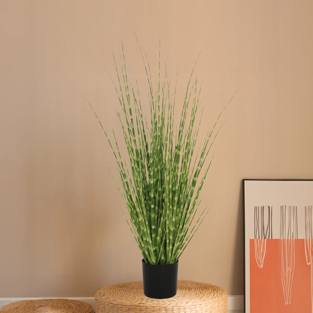 Handmade Decorative Artificial Plant - TG2-A0051 -  Home Accessories - ebarza Furniture UAE | Shop Modern Furniture in Abu Dhabi & Dubai - مفروشات ايبازرا في الامارات | تسوق اثاث عصري وديكورات مميزة في دبي وابوظبي
