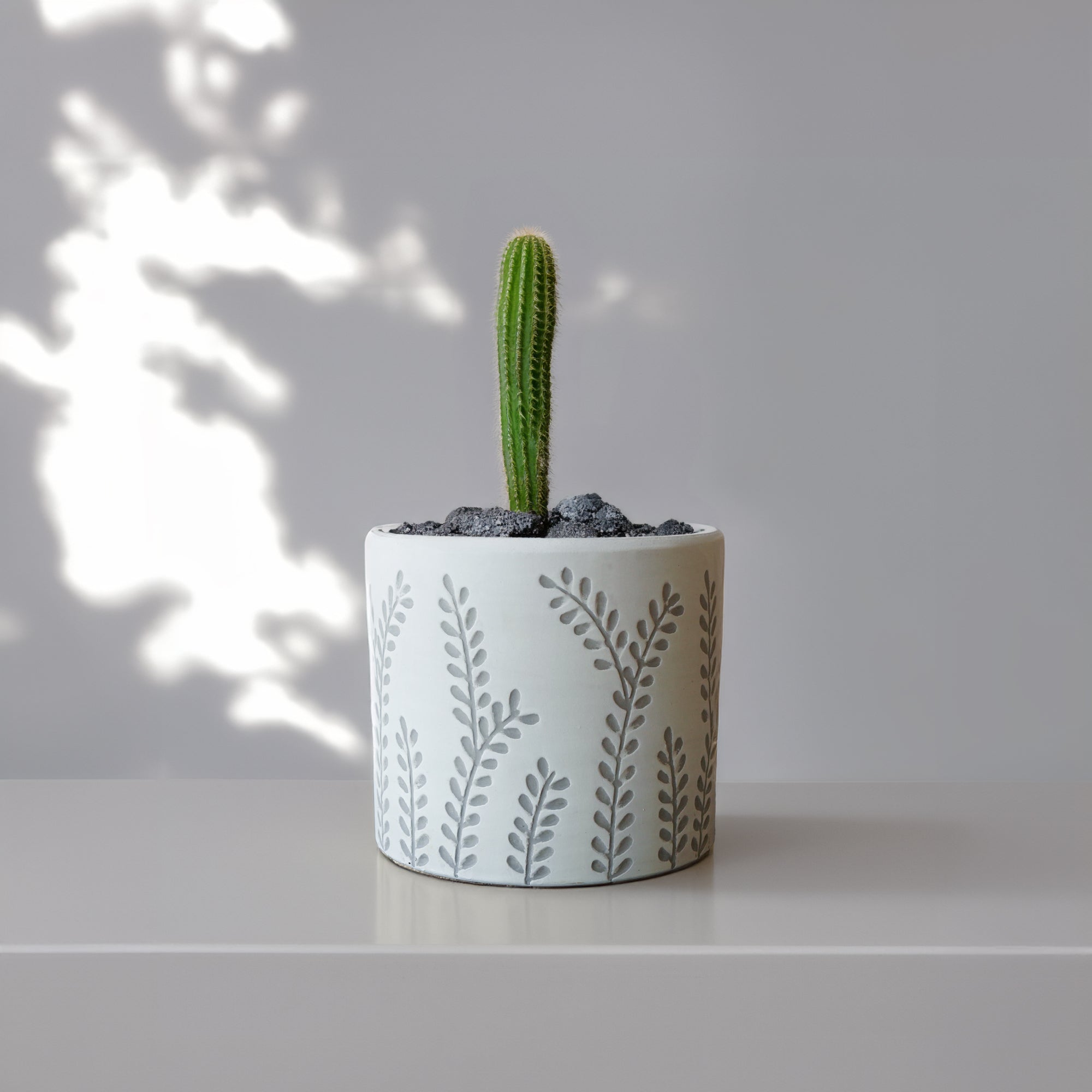 Leafy Branch Outdoor/Indoor Planter Box WHGY  8064B-163WHGY -  Planter Boxes - ebarza Furniture UAE | Shop Modern Furniture in Abu Dhabi & Dubai - مفروشات ايبازرا في الامارات | تسوق اثاث عصري وديكورات مميزة في دبي وابوظبي