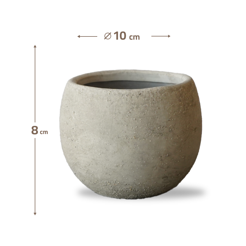 Cloud White Bud Outdoor/Indoor Planter Box WH  8085F-5 -  Planter Boxes - ebarza Furniture UAE | Shop Modern Furniture in Abu Dhabi & Dubai - مفروشات ايبازرا في الامارات | تسوق اثاث عصري وديكورات مميزة في دبي وابوظبي
