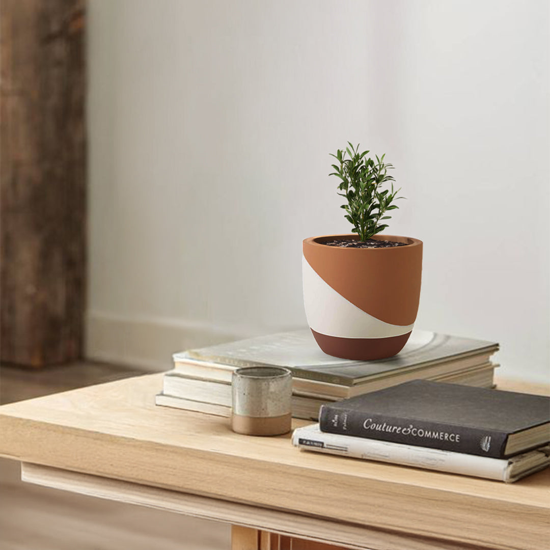 Terracotta Dream Outdoor/Indoor Planter Box  TEWHBR  8079I-4 -  Planter Boxes - ebarza Furniture UAE | Shop Modern Furniture in Abu Dhabi & Dubai - مفروشات ايبازرا في الامارات | تسوق اثاث عصري وديكورات مميزة في دبي وابوظبي