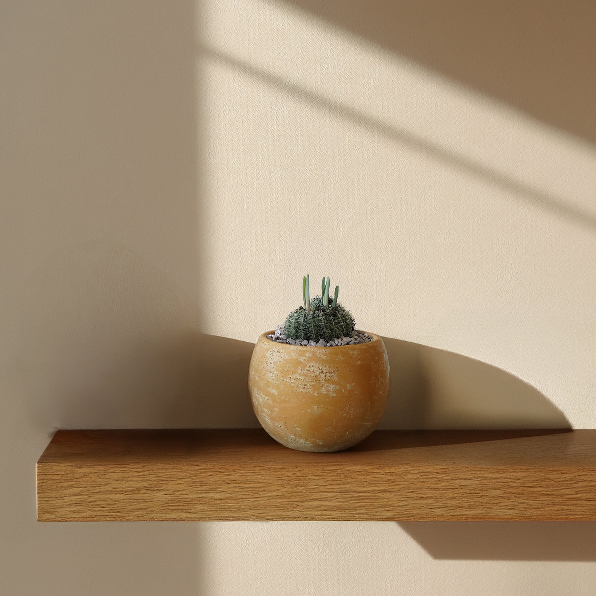 Terracotta Groove Outdoor/Indoor Planter Box WSCL  8085F-5 -  Planter Boxes - ebarza Furniture UAE | Shop Modern Furniture in Abu Dhabi & Dubai - مفروشات ايبازرا في الامارات | تسوق اثاث عصري وديكورات مميزة في دبي وابوظبي