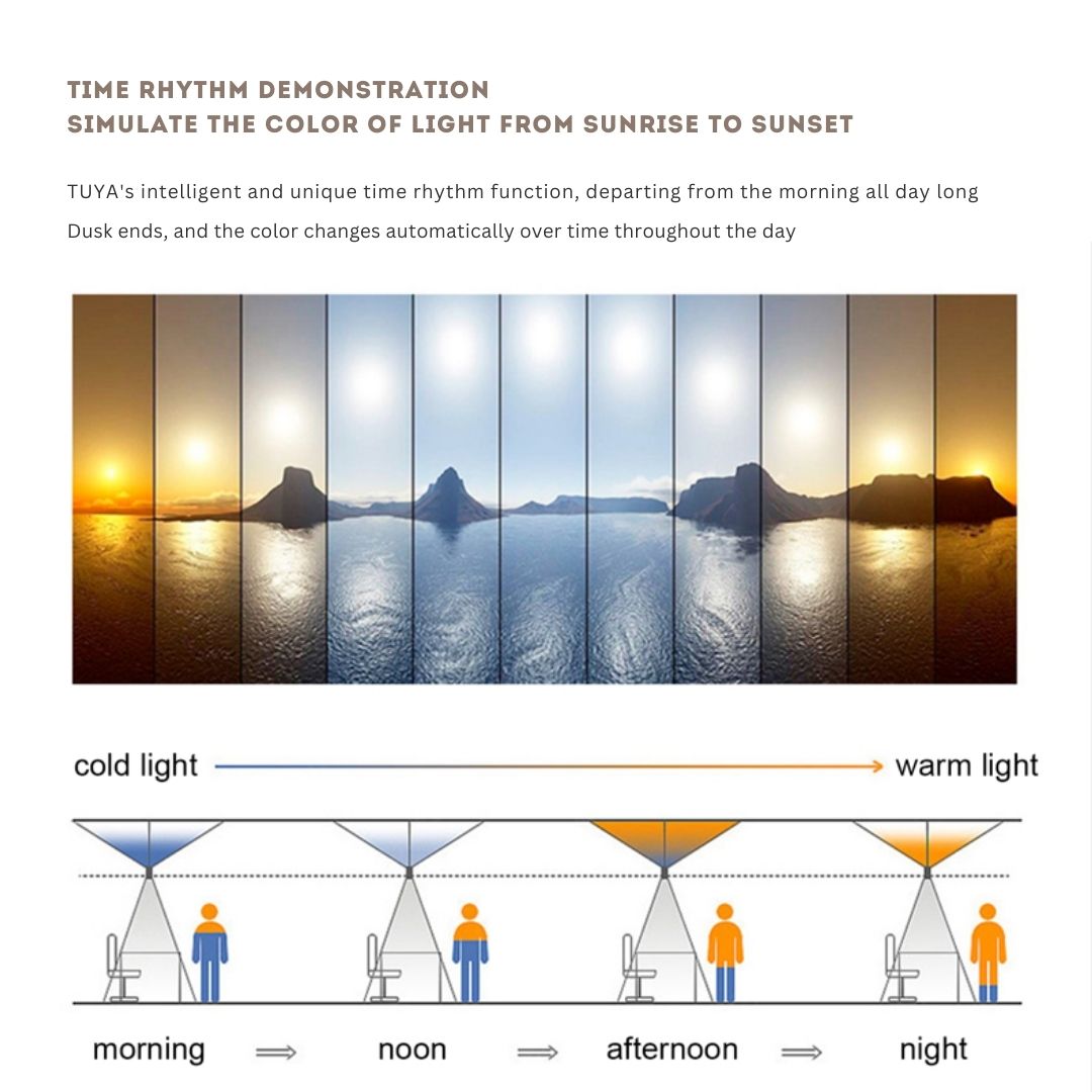 Artificial Skylights LED Panel Natural UAE Timing Sunlight Sync  - MUSKDG-SKY -  Pendant Lamps - ebarza Furniture UAE | Shop Modern Furniture in Abu Dhabi & Dubai - مفروشات ايبازرا في الامارات | تسوق اثاث عصري وديكورات مميزة في دبي وابوظبي