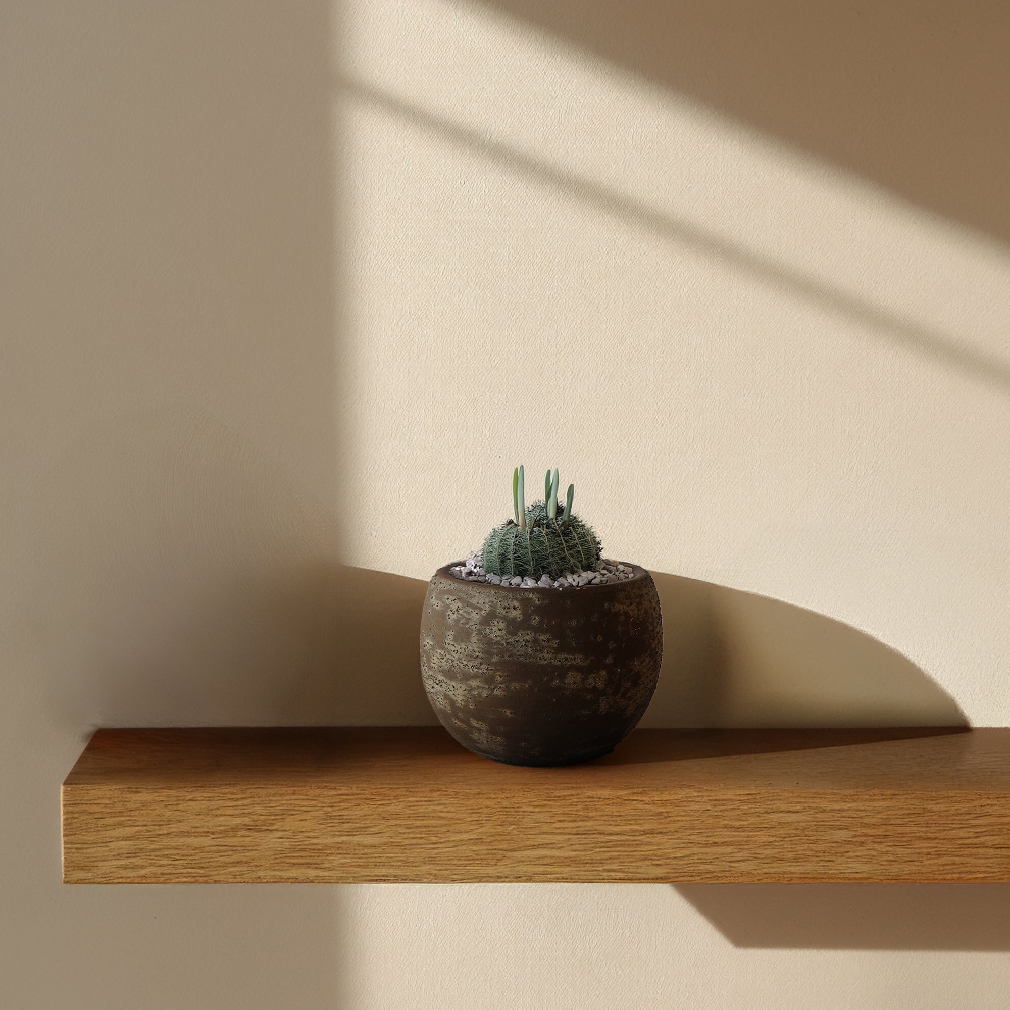 Rocky Ridge Outdoor/Indoor Planter Box WSCF 8085F-5 -  Planter Boxes - ebarza Furniture UAE | Shop Modern Furniture in Abu Dhabi & Dubai - مفروشات ايبازرا في الامارات | تسوق اثاث عصري وديكورات مميزة في دبي وابوظبي