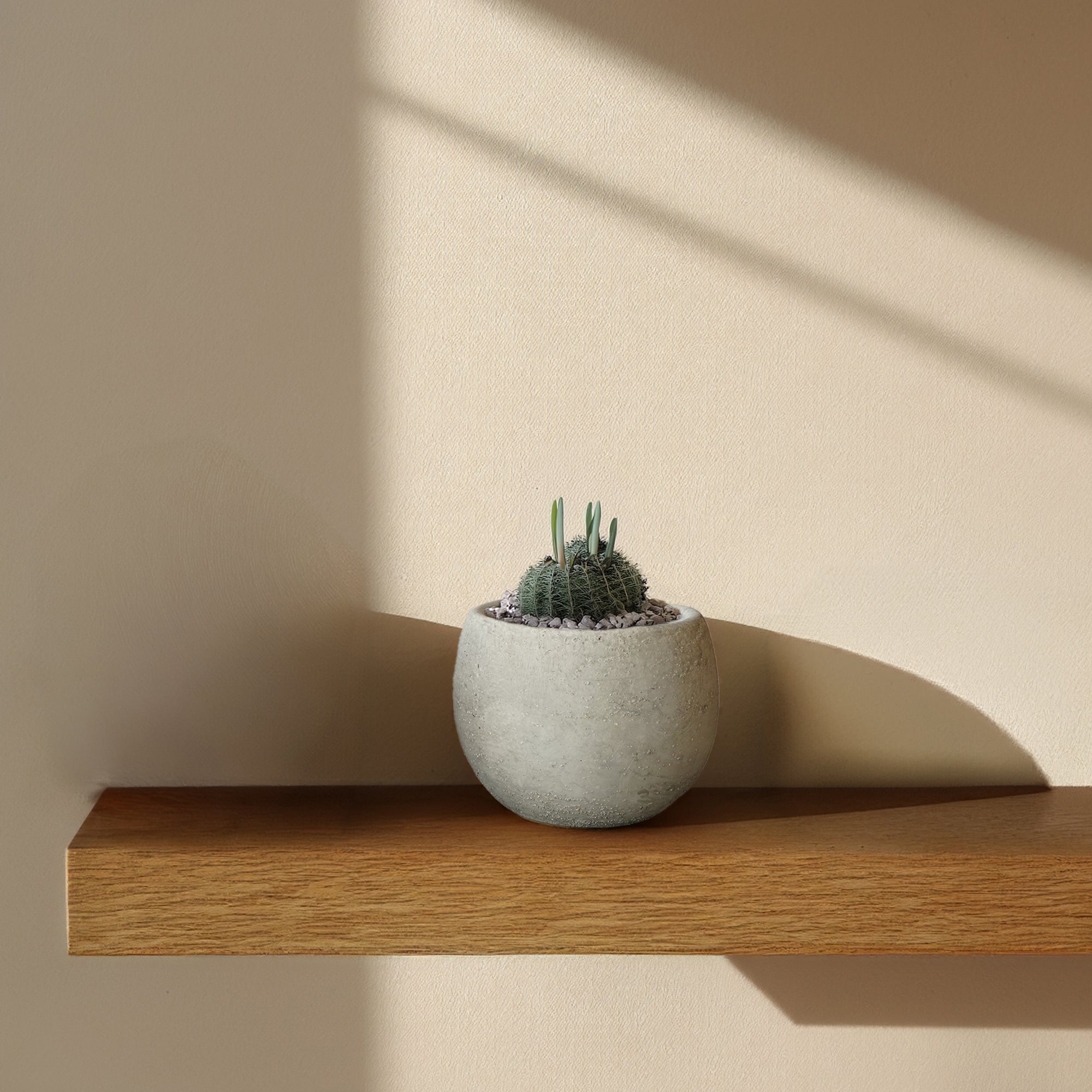 Cloud White Bud Outdoor/Indoor Planter Box WH  8085F-5 -  Planter Boxes - ebarza Furniture UAE | Shop Modern Furniture in Abu Dhabi & Dubai - مفروشات ايبازرا في الامارات | تسوق اثاث عصري وديكورات مميزة في دبي وابوظبي