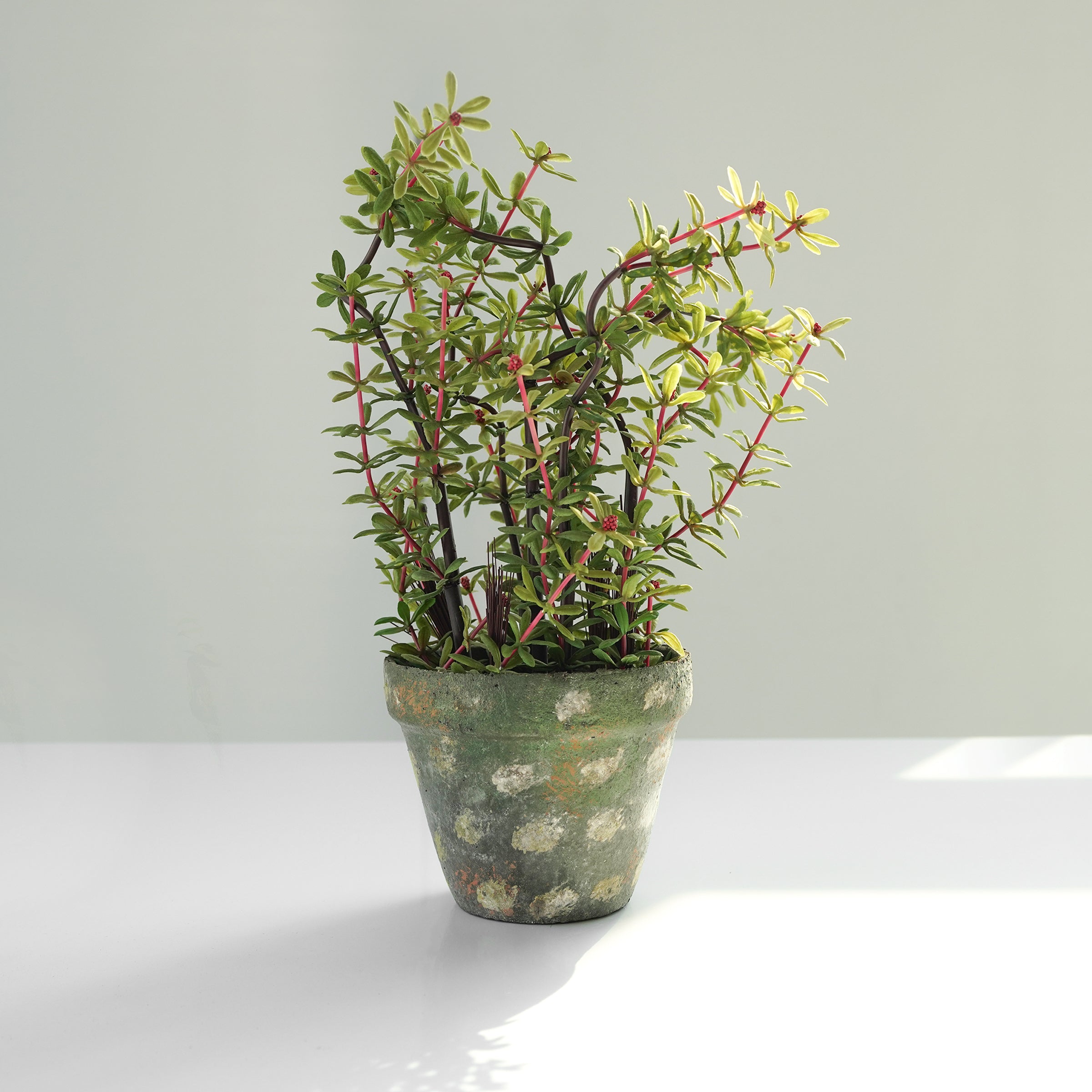 Handmade Decorative Artificial Potted Plant N36920-PZ002-RE -  Plants - ebarza Furniture UAE | Shop Modern Furniture in Abu Dhabi & Dubai - مفروشات ايبازرا في الامارات | تسوق اثاث عصري وديكورات مميزة في دبي وابوظبي