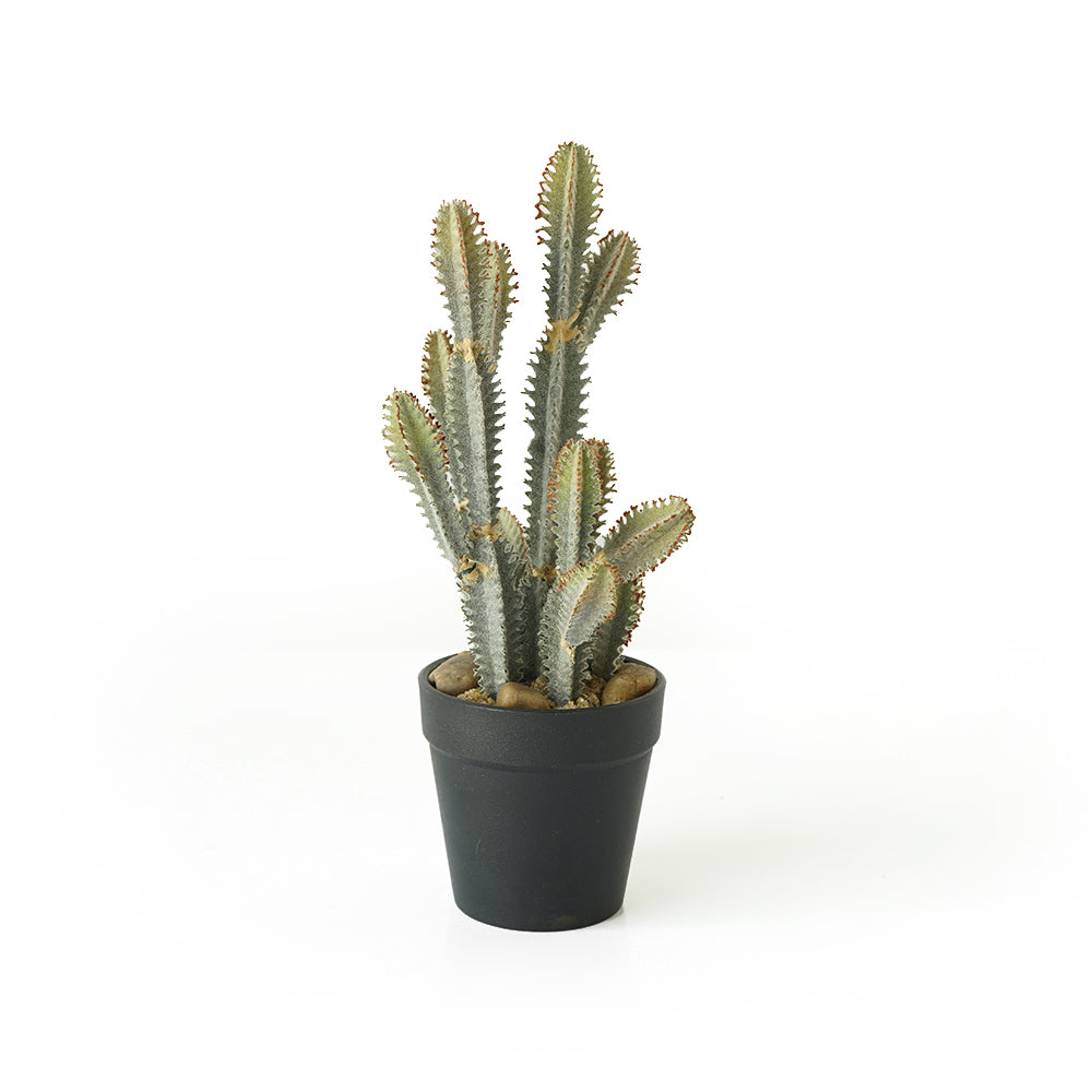 Handmade Decorative Artificial Potted Cactus N35020-SM123 -  Plants - ebarza Furniture UAE | Shop Modern Furniture in Abu Dhabi & Dubai - مفروشات ايبازرا في الامارات | تسوق اثاث عصري وديكورات مميزة في دبي وابوظبي