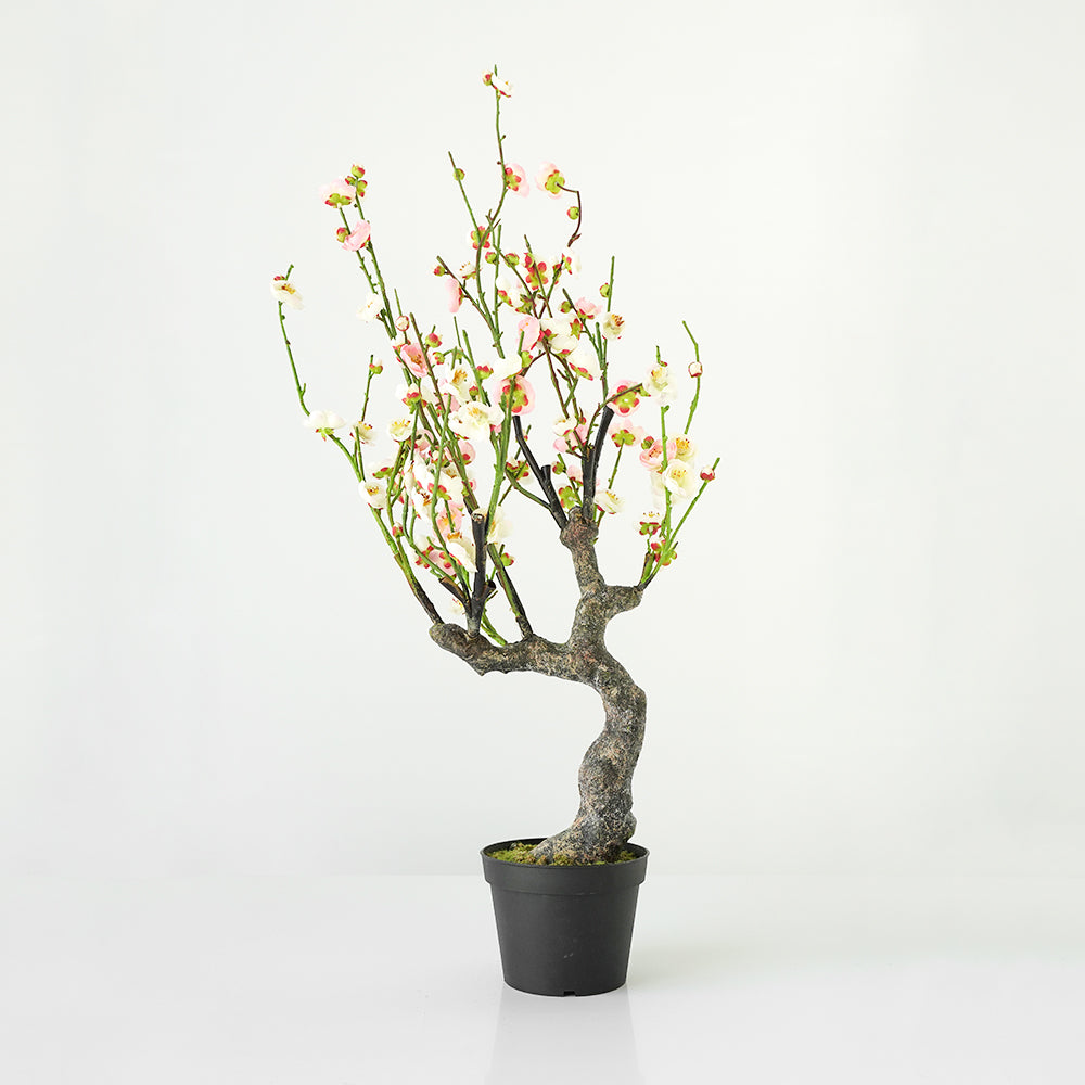 Handmade Decorative Artificial Potted Plum Blossom YC049 -  Plants - ebarza Furniture UAE | Shop Modern Furniture in Abu Dhabi & Dubai - مفروشات ايبازرا في الامارات | تسوق اثاث عصري وديكورات مميزة في دبي وابوظبي