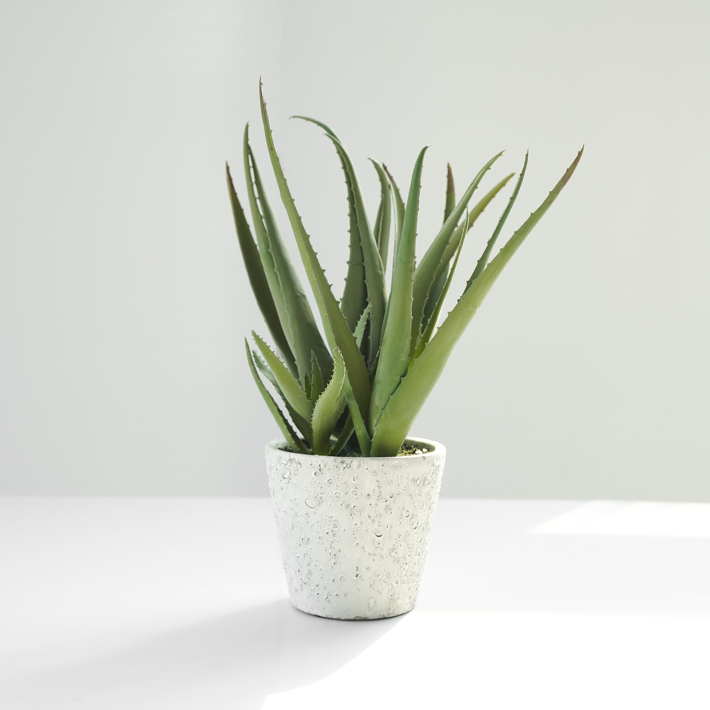 Handmade Decorative Artificial Potted Aloe N35020-PZ173 -  Plants - ebarza Furniture UAE | Shop Modern Furniture in Abu Dhabi & Dubai - مفروشات ايبازرا في الامارات | تسوق اثاث عصري وديكورات مميزة في دبي وابوظبي
