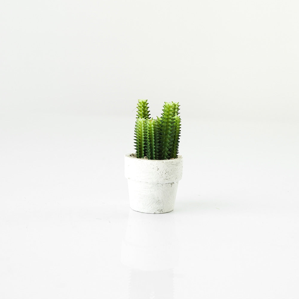Handmade Decorative Artificial Potted Cactus N35020-SM157 -  Plants - ebarza Furniture UAE | Shop Modern Furniture in Abu Dhabi & Dubai - مفروشات ايبازرا في الامارات | تسوق اثاث عصري وديكورات مميزة في دبي وابوظبي