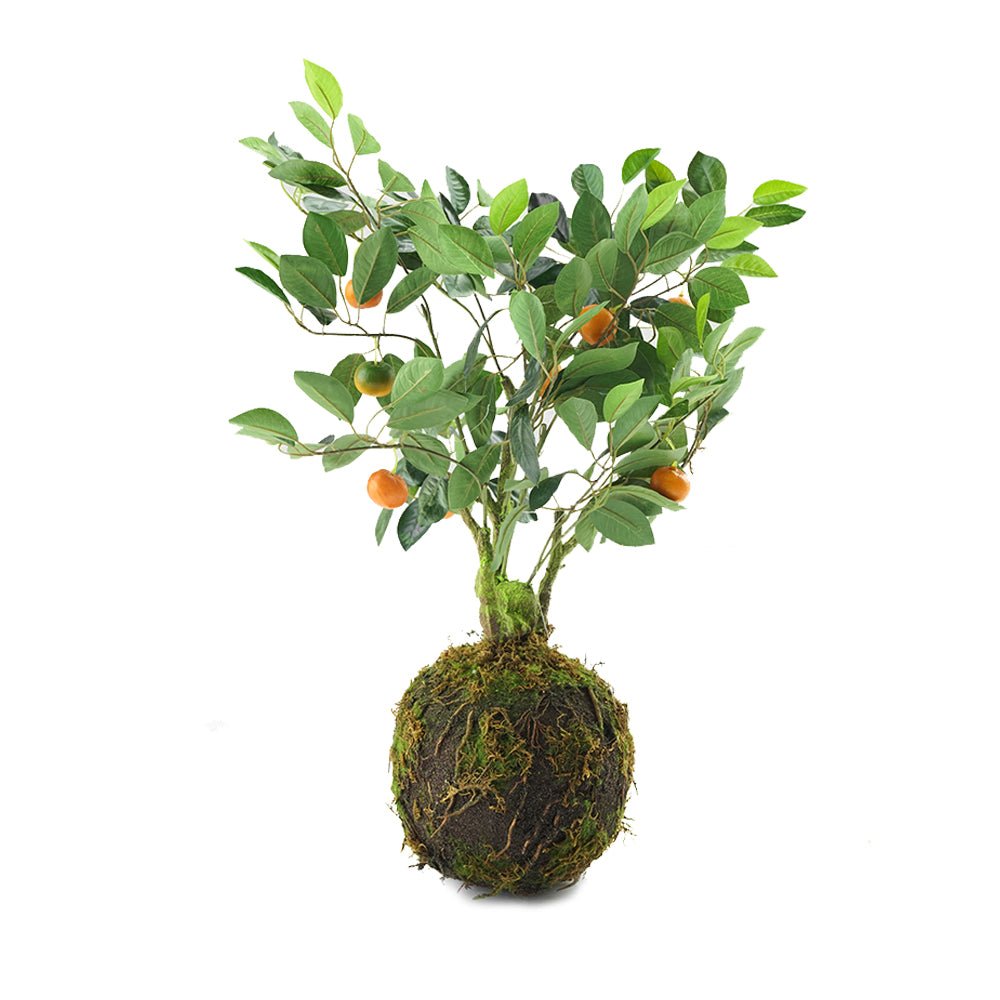 As Is - Handmade Decorative Artificial Plant N37420-XG026 -  DISPLAY ITEM - ebarza Furniture UAE | Shop Modern Furniture in Abu Dhabi & Dubai - مفروشات ايبازرا في الامارات | تسوق اثاث عصري وديكورات مميزة في دبي وابوظبي