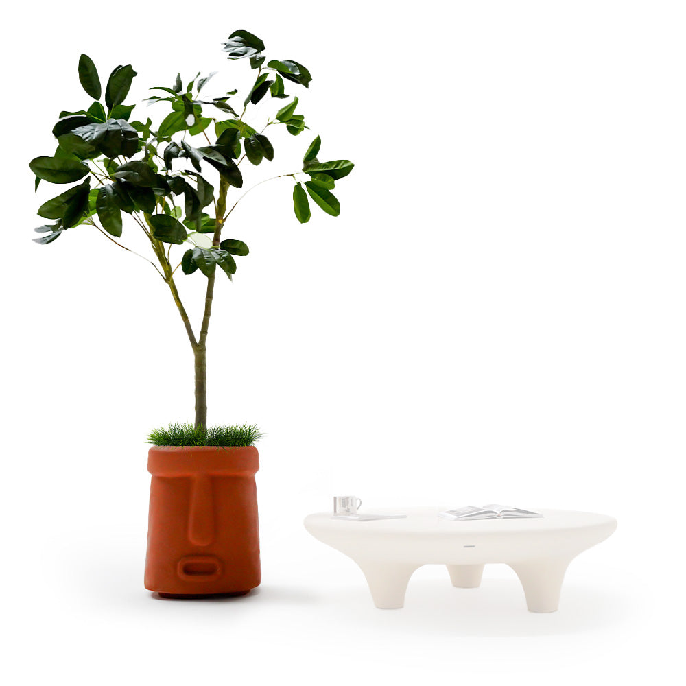 Indoor/Outdoor Clay Planter Box XK-6048C-Clay -  Planter Boxes - ebarza Furniture UAE | Shop Modern Furniture in Abu Dhabi & Dubai - مفروشات ايبازرا في الامارات | تسوق اثاث عصري وديكورات مميزة في دبي وابوظبي