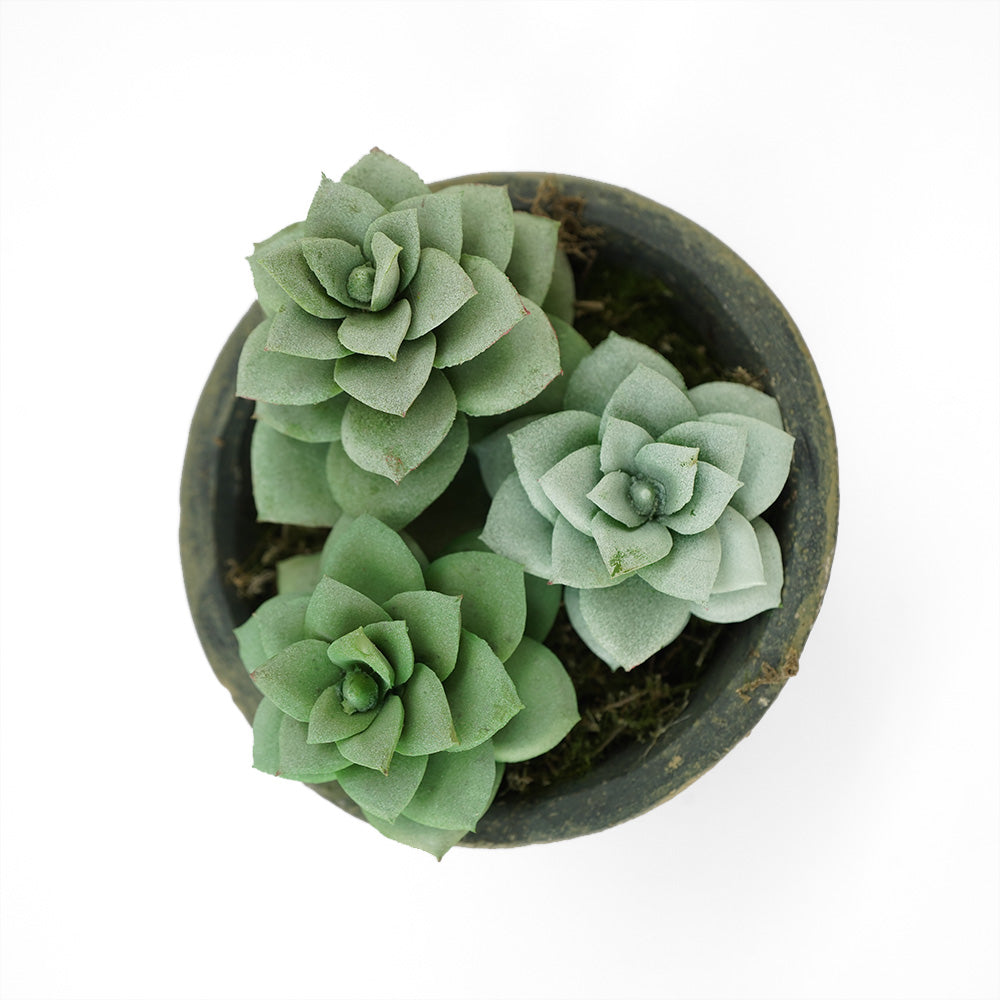 Handmade Decorative Artificial Plant N36520-PZ033-GR -  Plants - ebarza Furniture UAE | Shop Modern Furniture in Abu Dhabi & Dubai - مفروشات ايبازرا في الامارات | تسوق اثاث عصري وديكورات مميزة في دبي وابوظبي