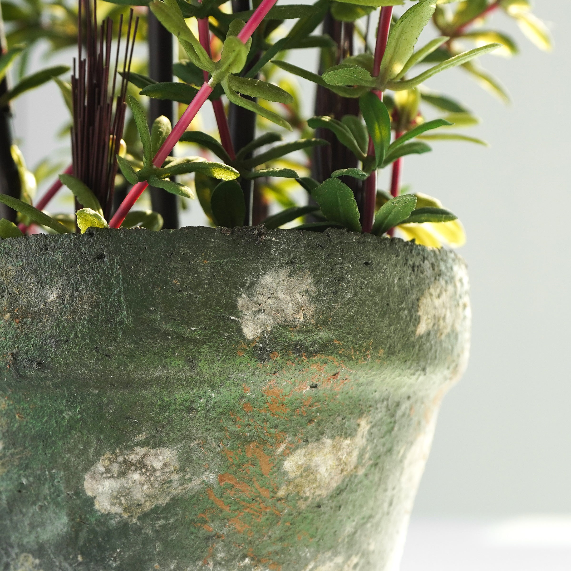 Handmade Decorative Artificial Potted Plant N36920-PZ002-RE -  Plants - ebarza Furniture UAE | Shop Modern Furniture in Abu Dhabi & Dubai - مفروشات ايبازرا في الامارات | تسوق اثاث عصري وديكورات مميزة في دبي وابوظبي