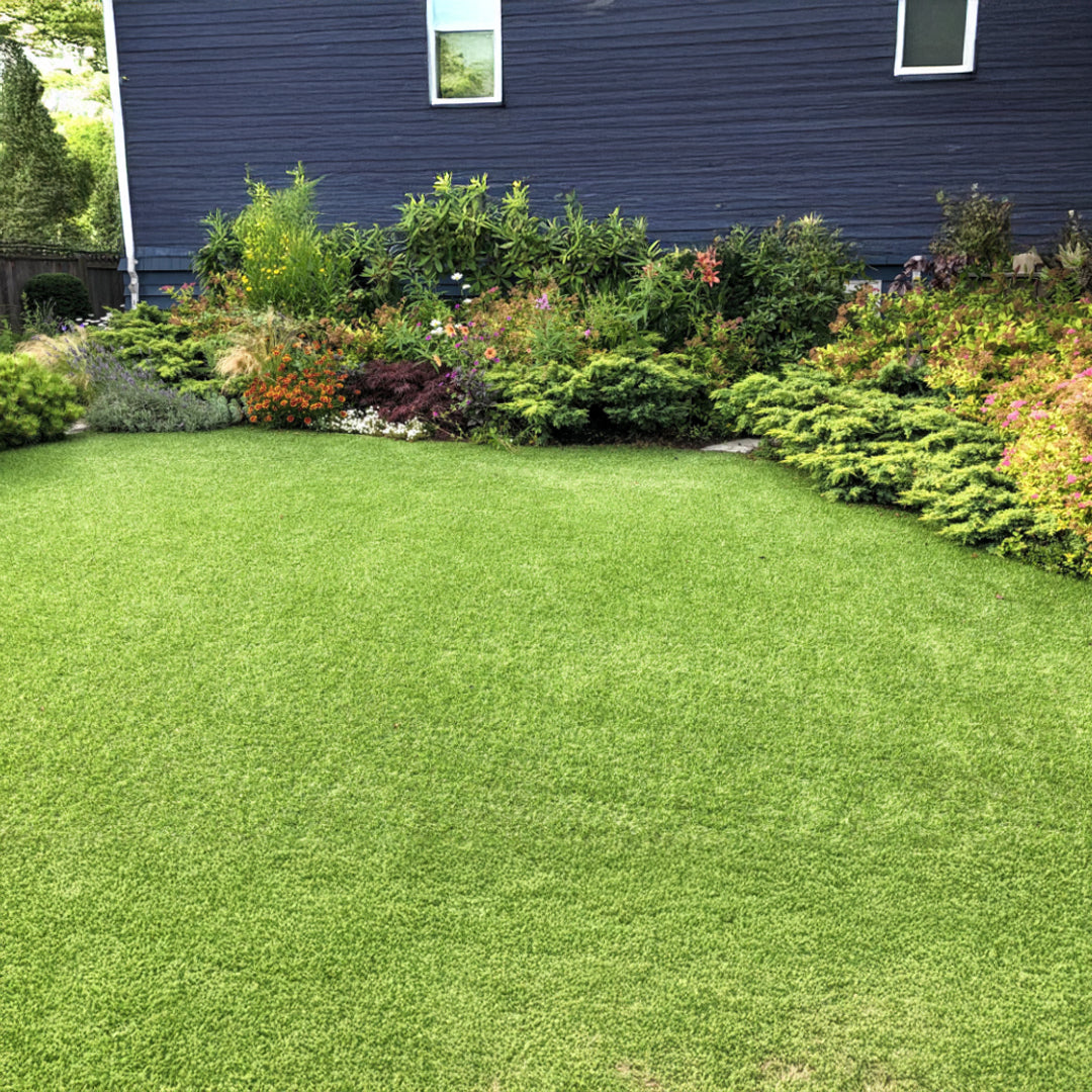 Artificial Turf For Landscaping - 500DXC4-6F-NC -  Plants - ebarza Furniture UAE | Shop Modern Furniture in Abu Dhabi & Dubai - مفروشات ايبازرا في الامارات | تسوق اثاث عصري وديكورات مميزة في دبي وابوظبي