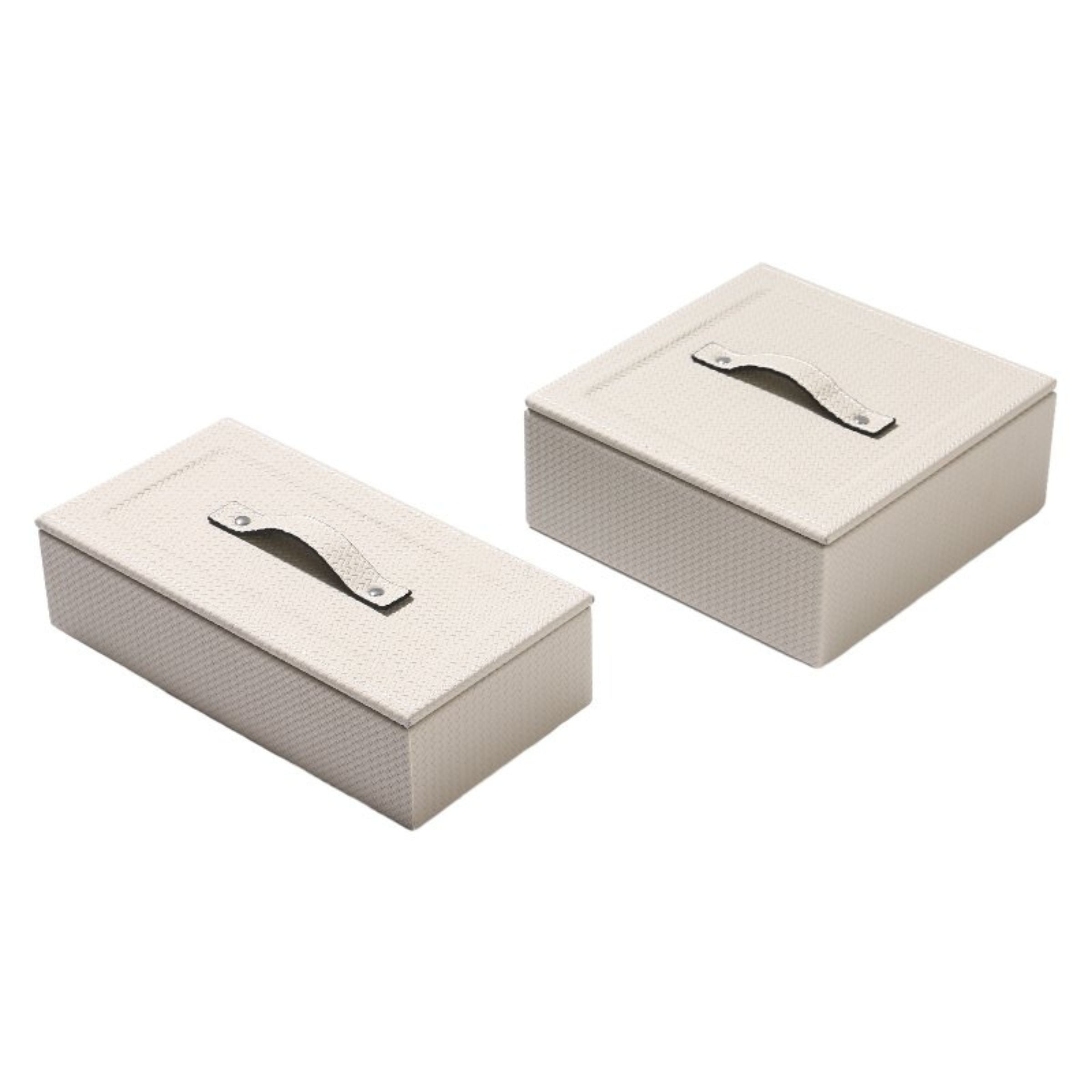 RECTANGULAR DECORATIVE BOX DD210920A -  Decorative Boxes - ebarza Furniture UAE | Shop Modern Furniture in Abu Dhabi & Dubai - مفروشات ايبازرا في الامارات | تسوق اثاث عصري وديكورات مميزة في دبي وابوظبي