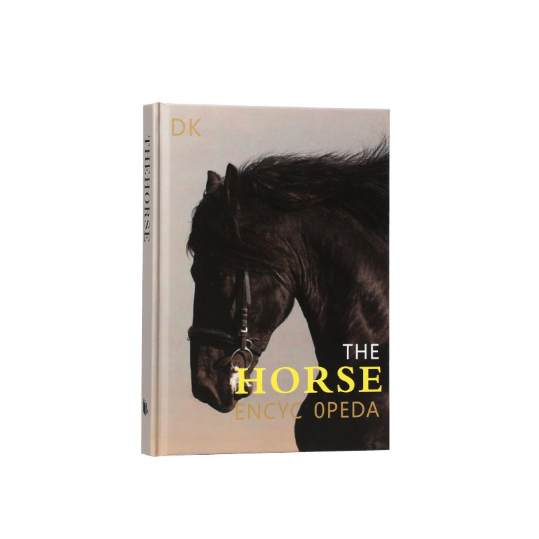 Decorative Book - FF-BS24004 -  Decorative Books & Magazines - ebarza Furniture UAE | Shop Modern Furniture in Abu Dhabi & Dubai - مفروشات ايبازرا في الامارات | تسوق اثاث عصري وديكورات مميزة في دبي وابوظبي