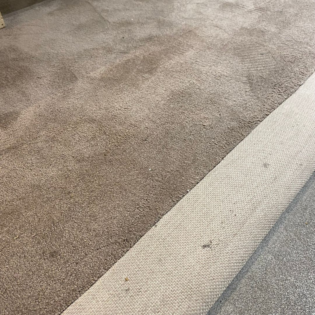 Display Item - 400X300 CM BOUNTY 92 MONTEREY Rug 80104 Nakheel -  DISPLAY ITEM - ebarza Furniture UAE | Shop Modern Furniture in Abu Dhabi & Dubai - مفروشات ايبازرا في الامارات | تسوق اثاث عصري وديكورات مميزة في دبي وابوظبي