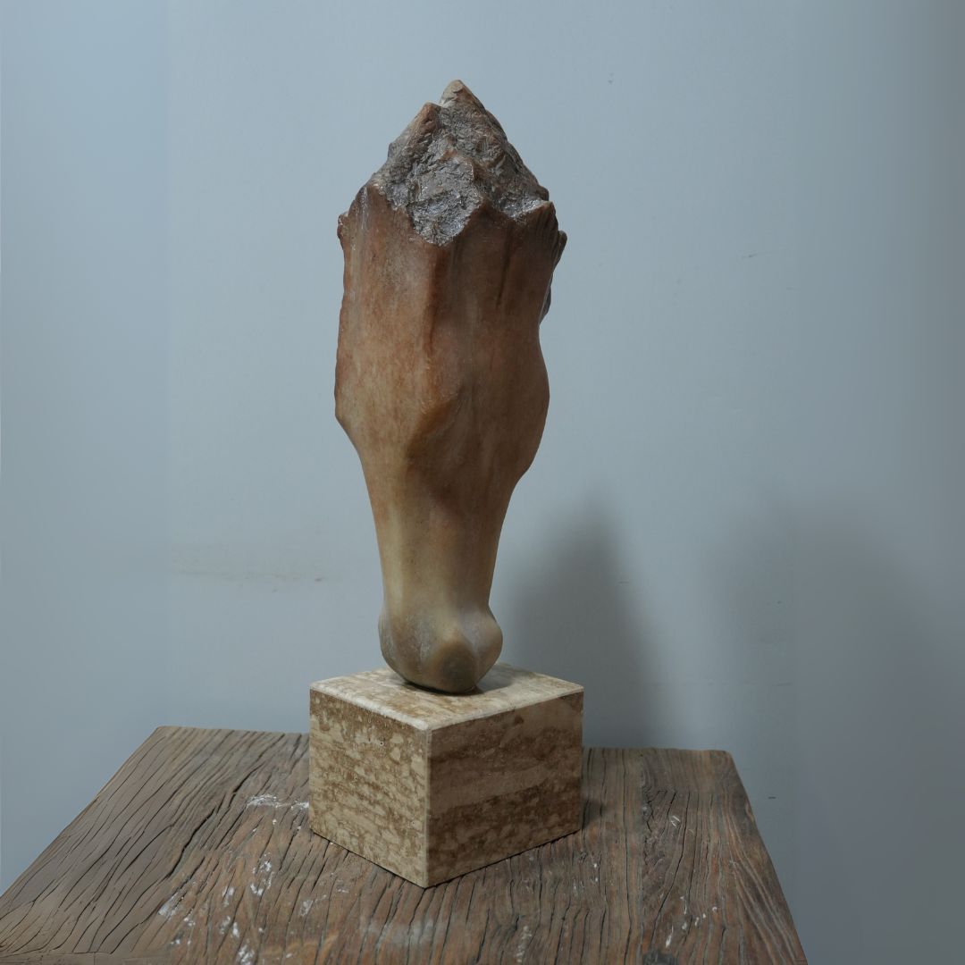 Pre-order 65 Days Delivery  Horse Head Ornament TD-0145E -  Home Decor Figurines - ebarza Furniture UAE | Shop Modern Furniture in Abu Dhabi & Dubai - مفروشات ايبازرا في الامارات | تسوق اثاث عصري وديكورات مميزة في دبي وابوظبي