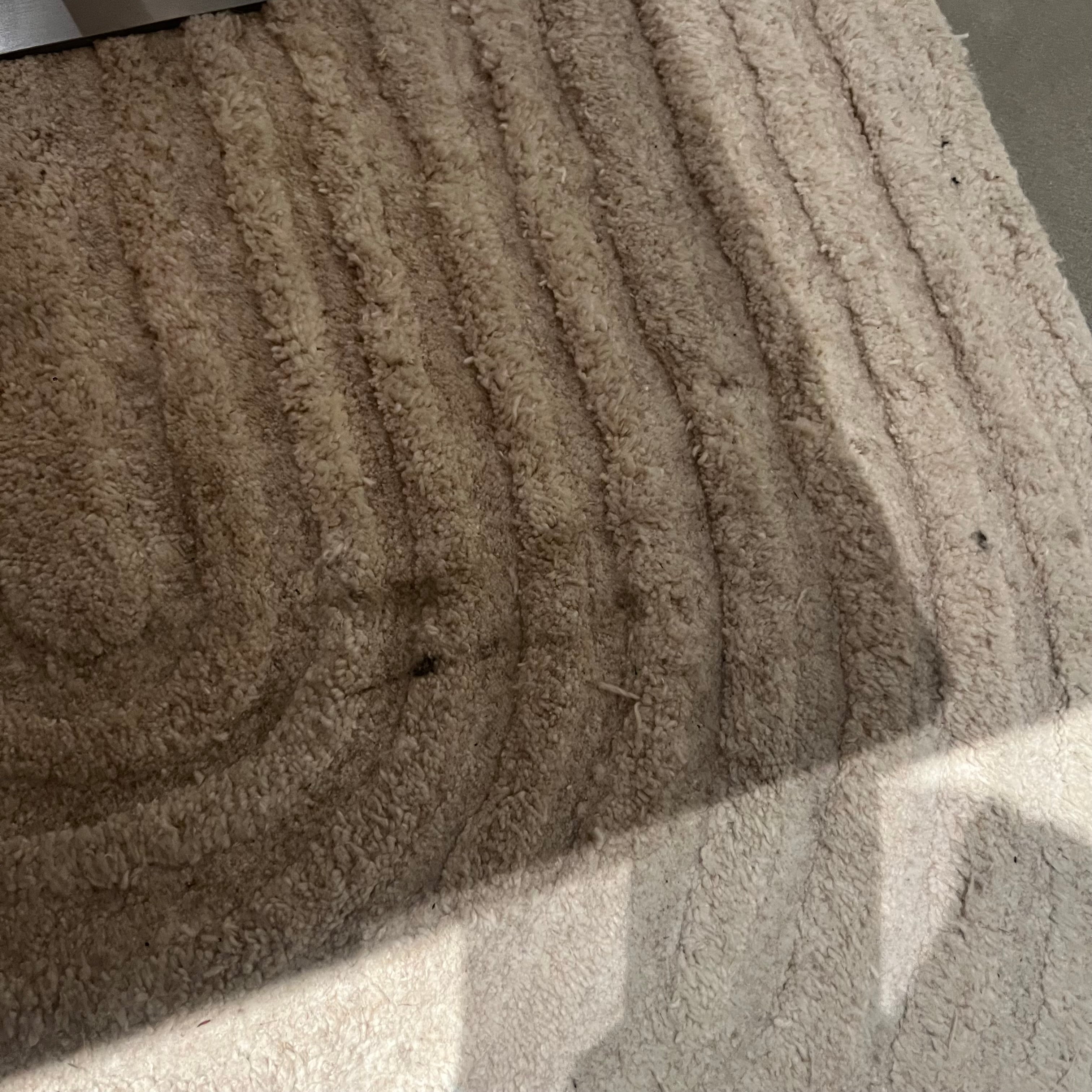 Display Item - 230X160 Cm  Eclipsed Pearls WOOL BEIGE  Rug JH-22749 Nakheel -  DISPLAY ITEM - ebarza Furniture UAE | Shop Modern Furniture in Abu Dhabi & Dubai - مفروشات ايبازرا في الامارات | تسوق اثاث عصري وديكورات مميزة في دبي وابوظبي