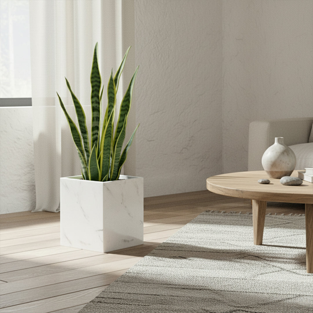 Jazz White Marble Garbage Bin / Planter Box  SBK880-8 -  Bathroom Accessories - ebarza Furniture UAE | Shop Modern Furniture in Abu Dhabi & Dubai - مفروشات ايبازرا في الامارات | تسوق اثاث عصري وديكورات مميزة في دبي وابوظبي