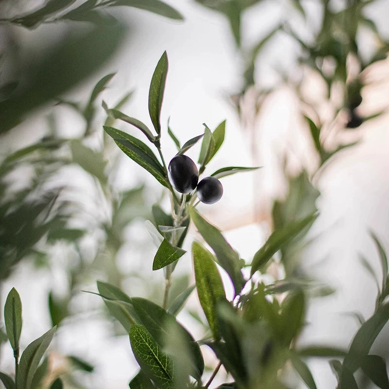 Simulated Olive Tree CT01-Olive -  Plants - ebarza Furniture UAE | Shop Modern Furniture in Abu Dhabi & Dubai - مفروشات ايبازرا في الامارات | تسوق اثاث عصري وديكورات مميزة في دبي وابوظبي