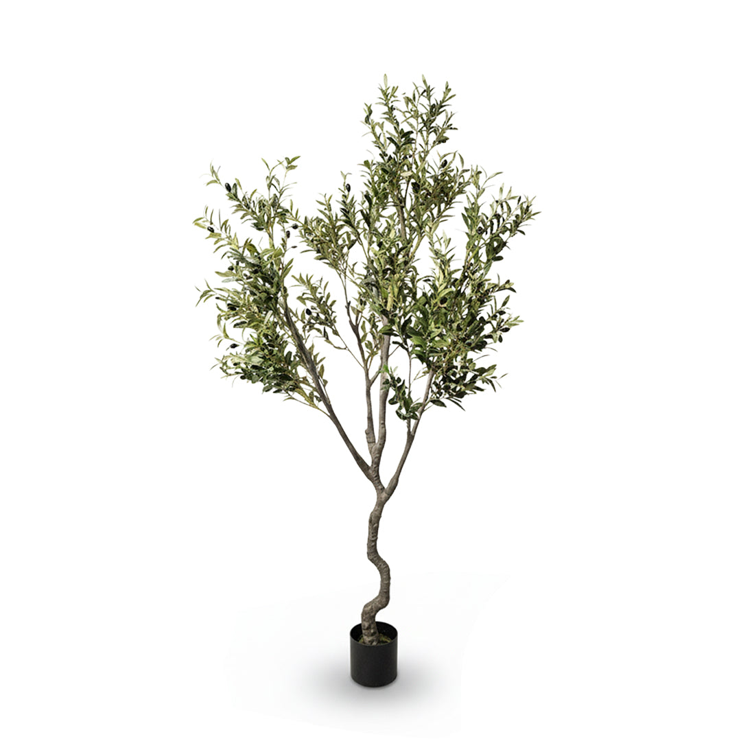 Simulated Olive Tree CT02-Olive / SIL-OLT-H240-GG