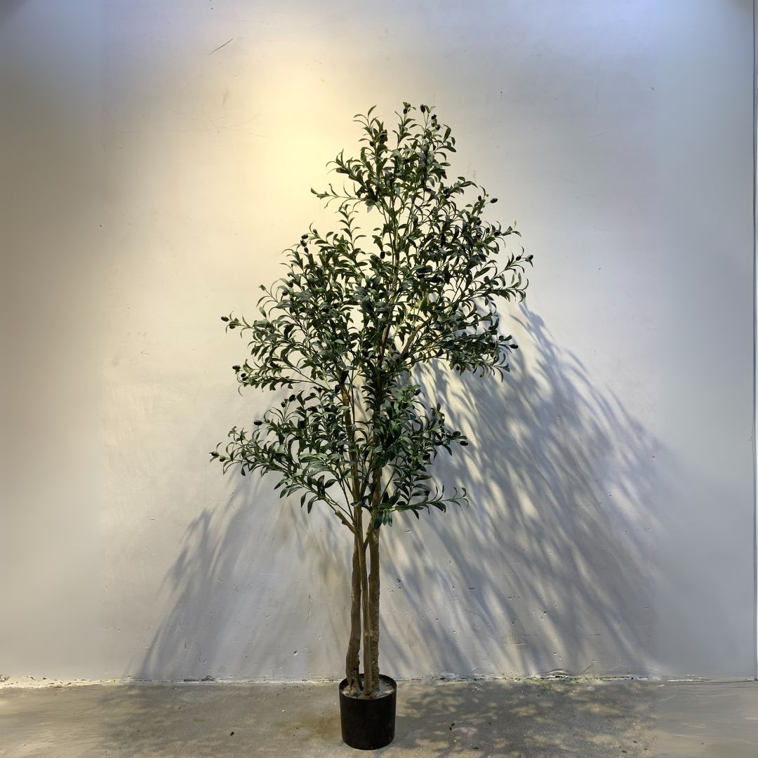 Artificial Olive-2 Tree -  Plants - ebarza Furniture UAE | Shop Modern Furniture in Abu Dhabi & Dubai - مفروشات ايبازرا في الامارات | تسوق اثاث عصري وديكورات مميزة في دبي وابوظبي