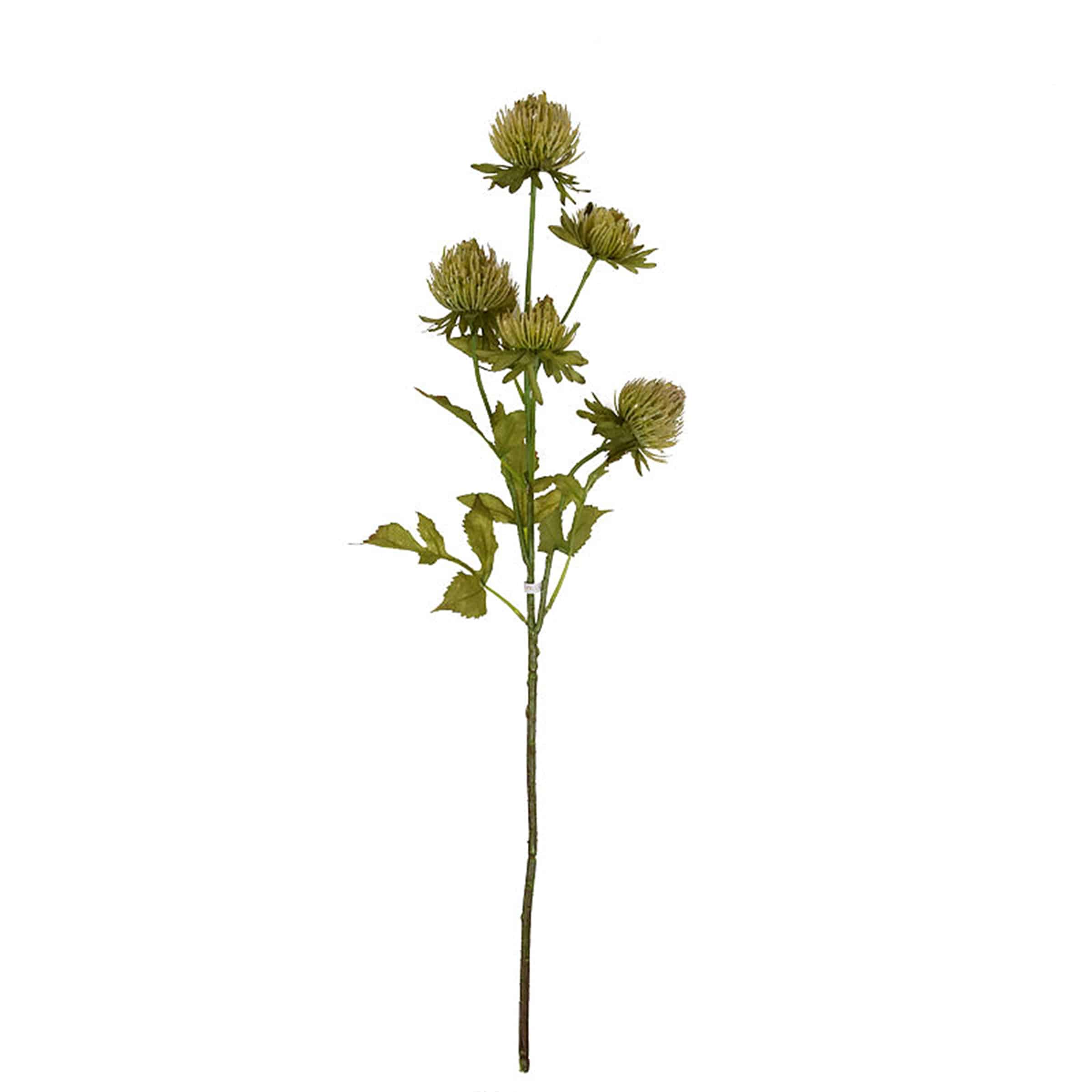 Decoration Thistle-Green Fa-Jh1901A -  Plants - ebarza Furniture UAE | Shop Modern Furniture in Abu Dhabi & Dubai - مفروشات ايبازرا في الامارات | تسوق اثاث عصري وديكورات مميزة في دبي وابوظبي