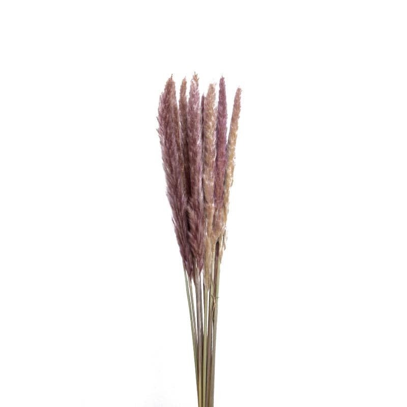 Dried Flower Decoration I Fa-Jh2005I -  Plants - ebarza Furniture UAE | Shop Modern Furniture in Abu Dhabi & Dubai - مفروشات ايبازرا في الامارات | تسوق اثاث عصري وديكورات مميزة في دبي وابوظبي