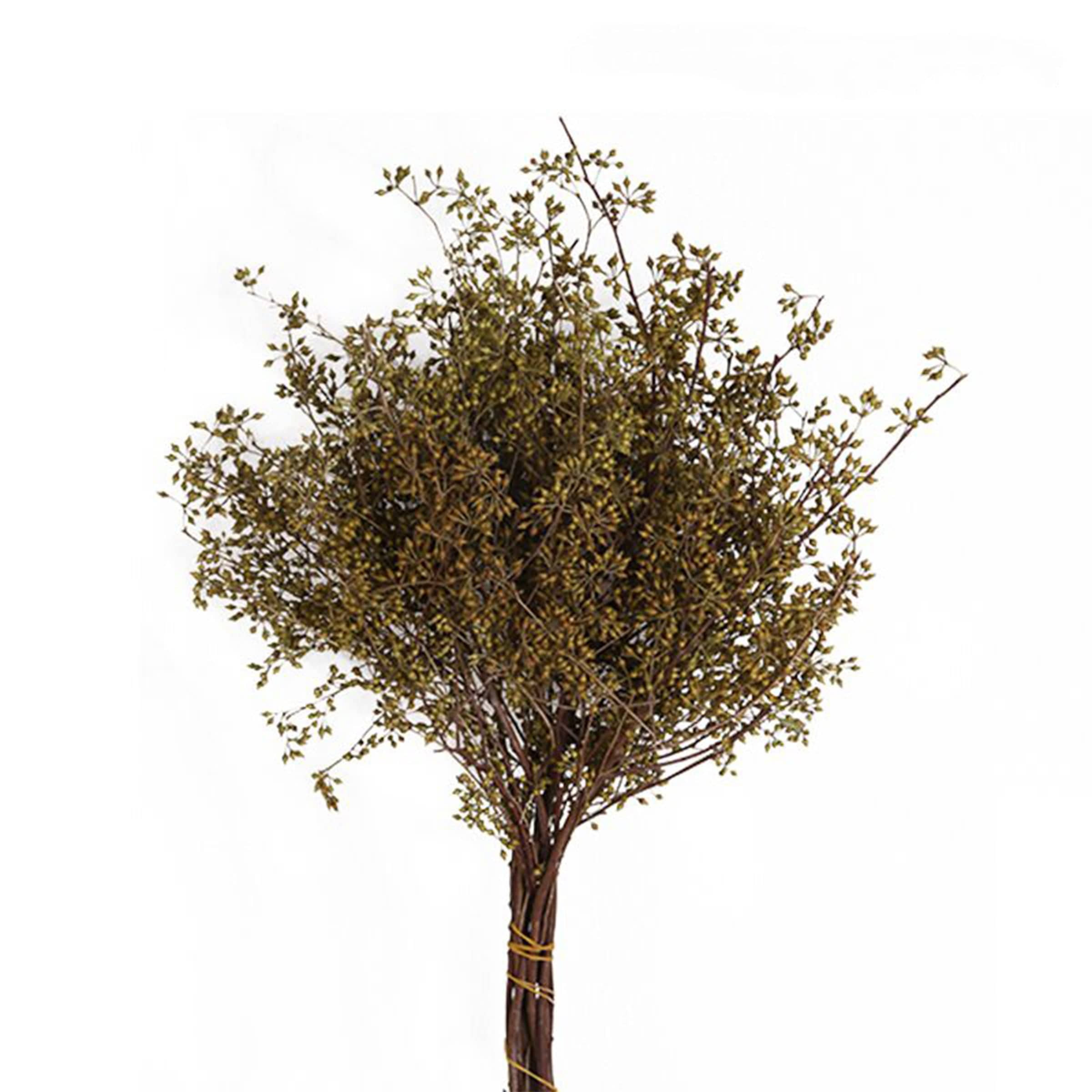 Dried Flower Fa-Jh2010M -  Plants - ebarza Furniture UAE | Shop Modern Furniture in Abu Dhabi & Dubai - مفروشات ايبازرا في الامارات | تسوق اثاث عصري وديكورات مميزة في دبي وابوظبي