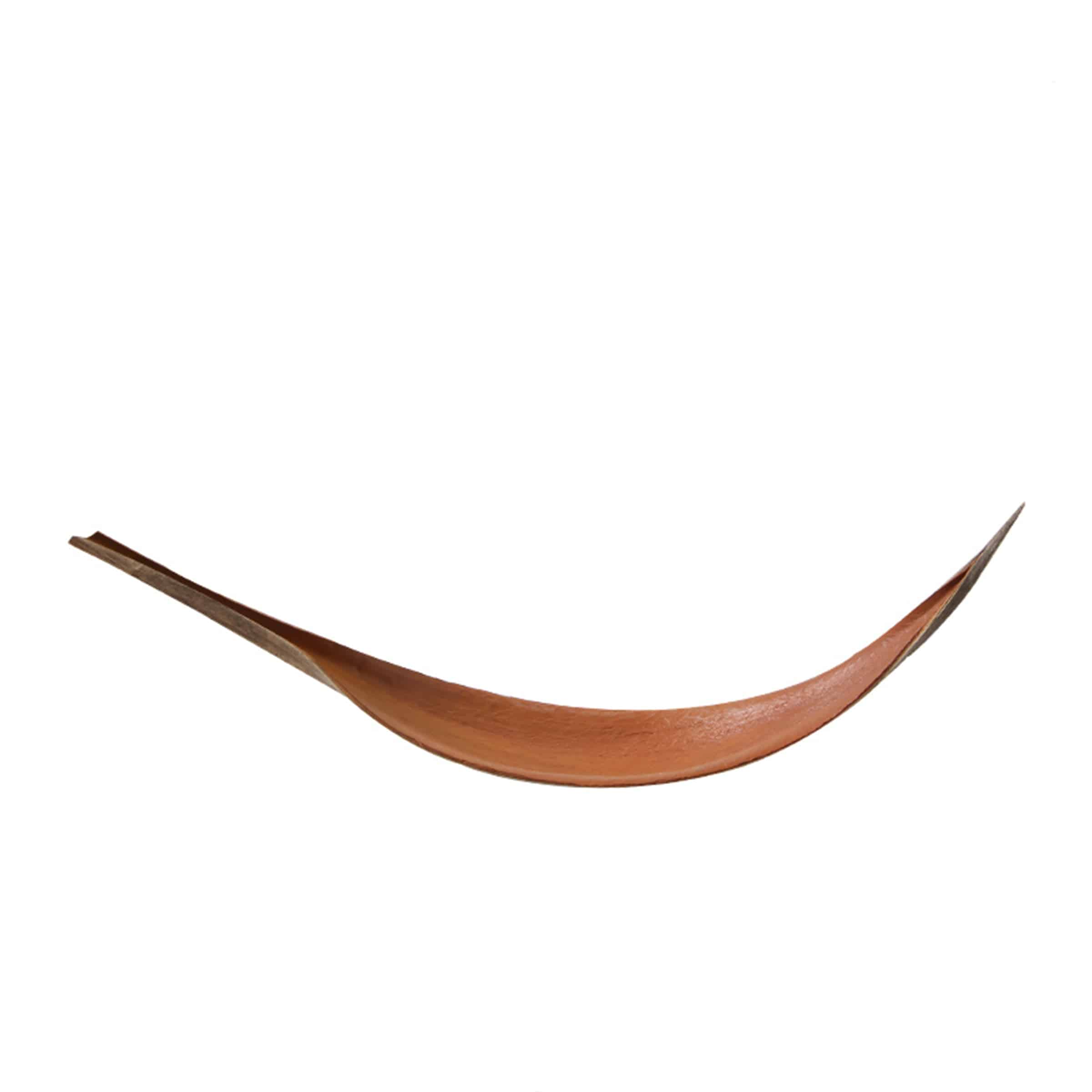 Dry Leaves Fa-Jh2013B -  Plants - ebarza Furniture UAE | Shop Modern Furniture in Abu Dhabi & Dubai - مفروشات ايبازرا في الامارات | تسوق اثاث عصري وديكورات مميزة في دبي وابوظبي