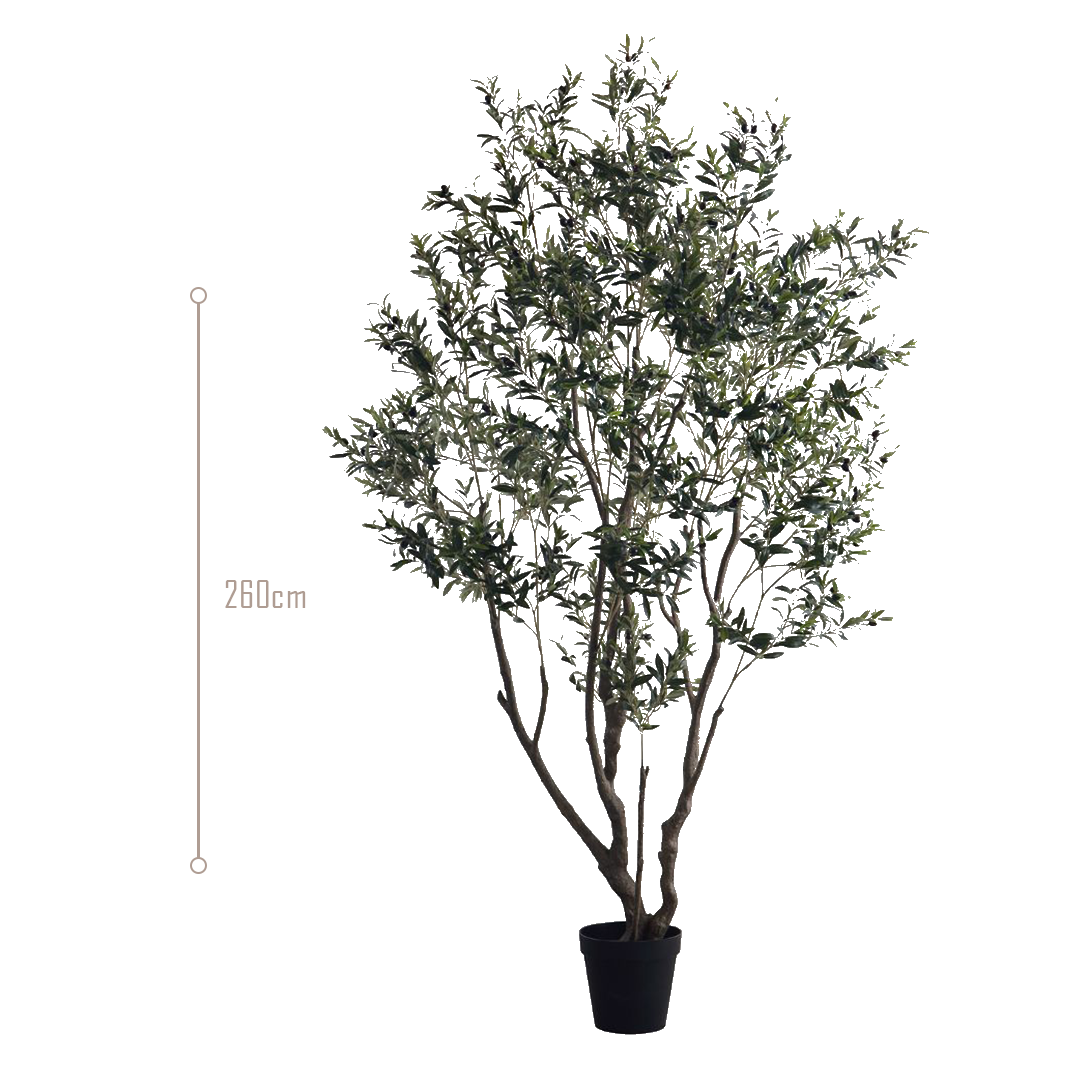 Simulated Olive Tree CT02-Olive -  Plants - ebarza Furniture UAE | Shop Modern Furniture in Abu Dhabi & Dubai - مفروشات ايبازرا في الامارات | تسوق اثاث عصري وديكورات مميزة في دبي وابوظبي