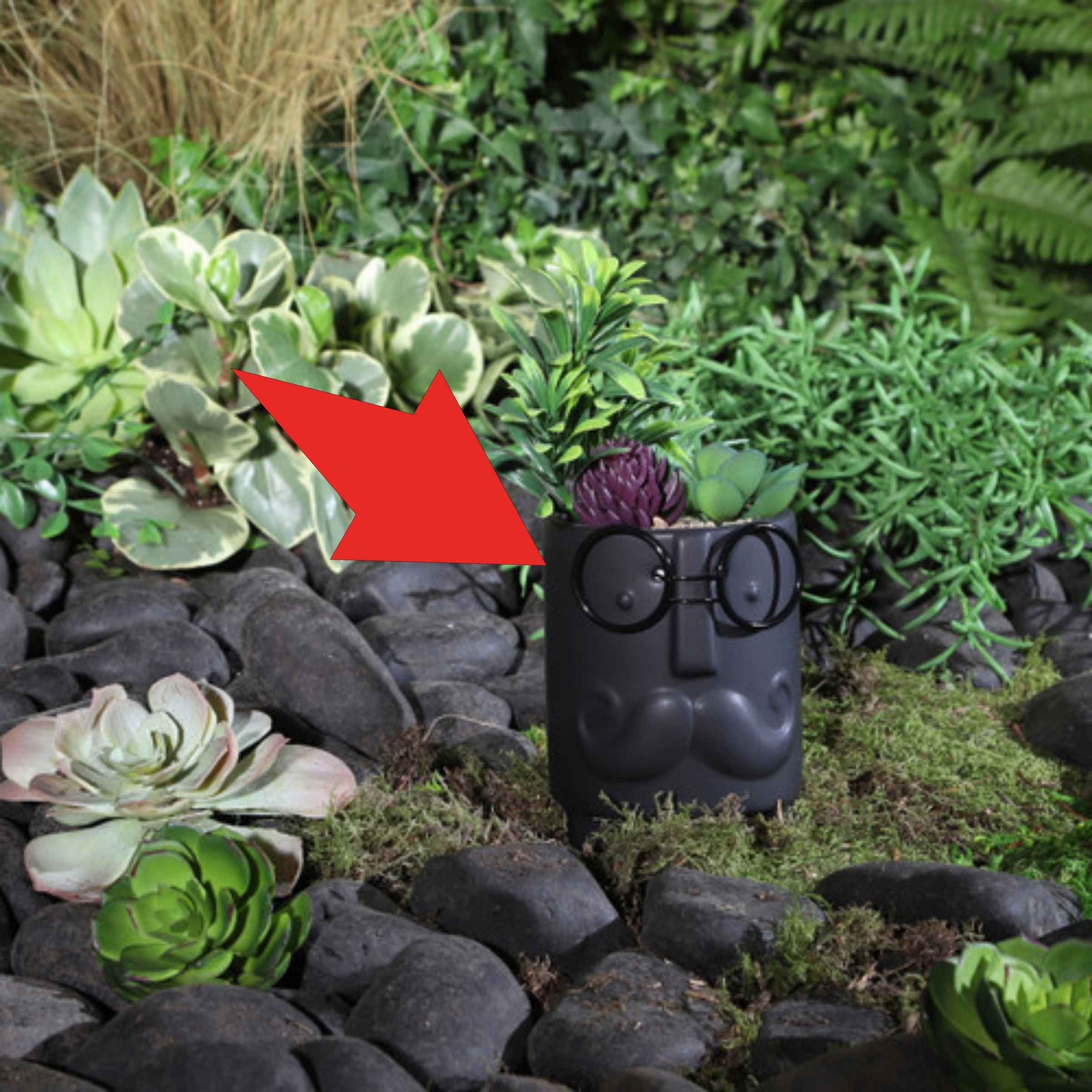 Face Ceramic Planter With Artificial Plants 8.89 Cm - Black 16972-02 -  Planter Boxes - ebarza Furniture UAE | Shop Modern Furniture in Abu Dhabi & Dubai - مفروشات ايبازرا في الامارات | تسوق اثاث عصري وديكورات مميزة في دبي وابوظبي