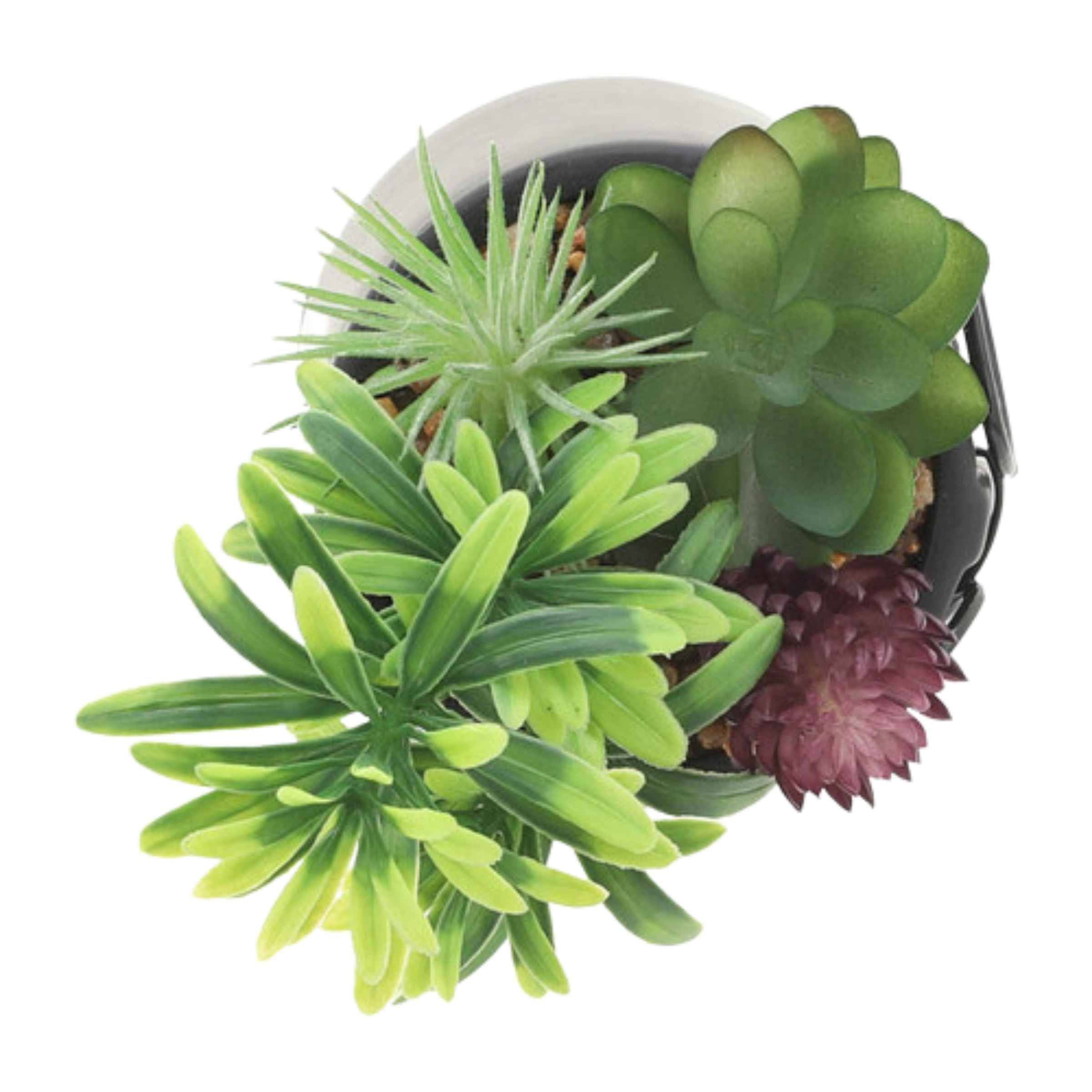 Face Ceramic Planter With Artificial Plants 8.89 Cm - Black 16972-02 -  Planter Boxes - ebarza Furniture UAE | Shop Modern Furniture in Abu Dhabi & Dubai - مفروشات ايبازرا في الامارات | تسوق اثاث عصري وديكورات مميزة في دبي وابوظبي
