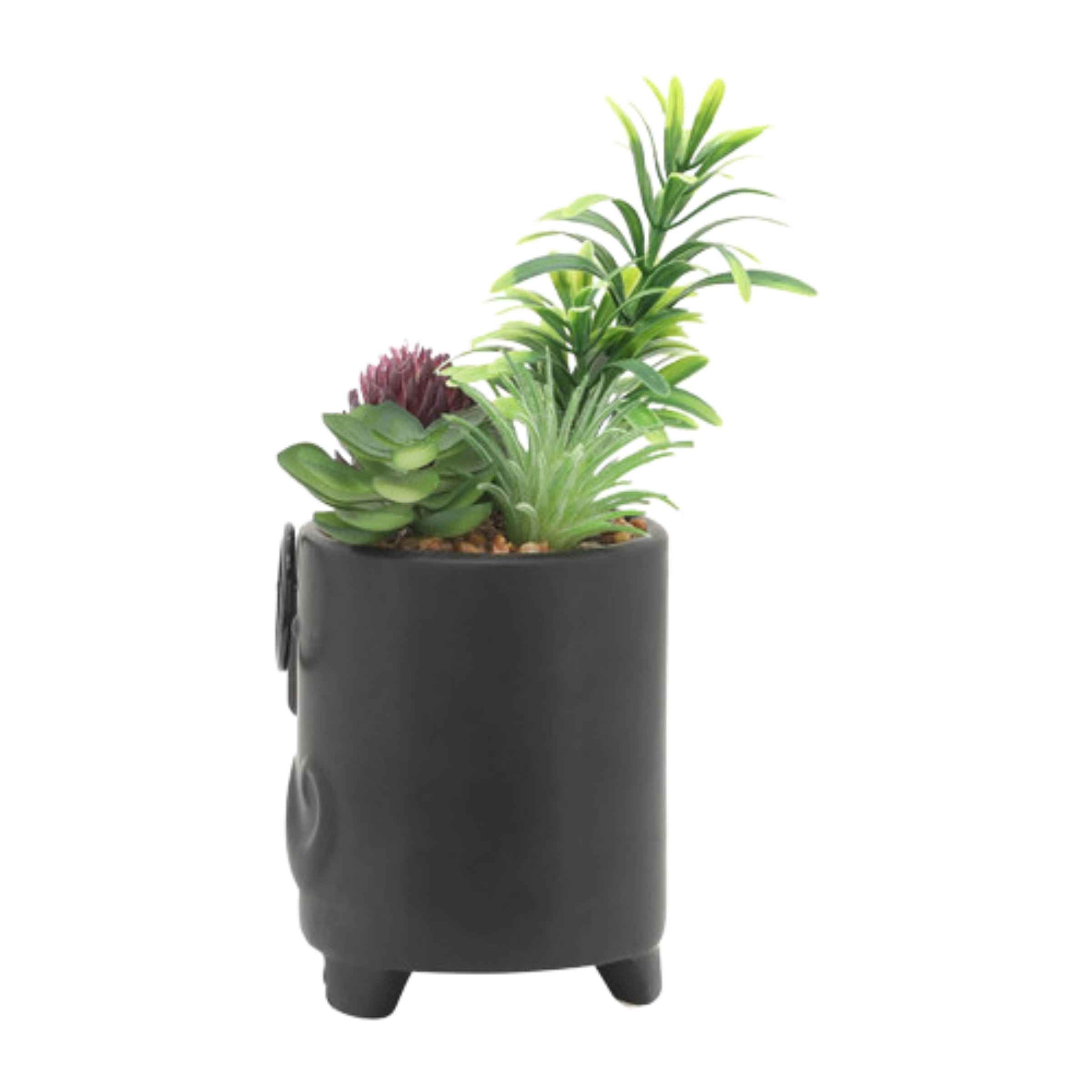 Face Ceramic Planter With Artificial Plants 8.89 Cm - Black 16972-02 -  Planter Boxes - ebarza Furniture UAE | Shop Modern Furniture in Abu Dhabi & Dubai - مفروشات ايبازرا في الامارات | تسوق اثاث عصري وديكورات مميزة في دبي وابوظبي