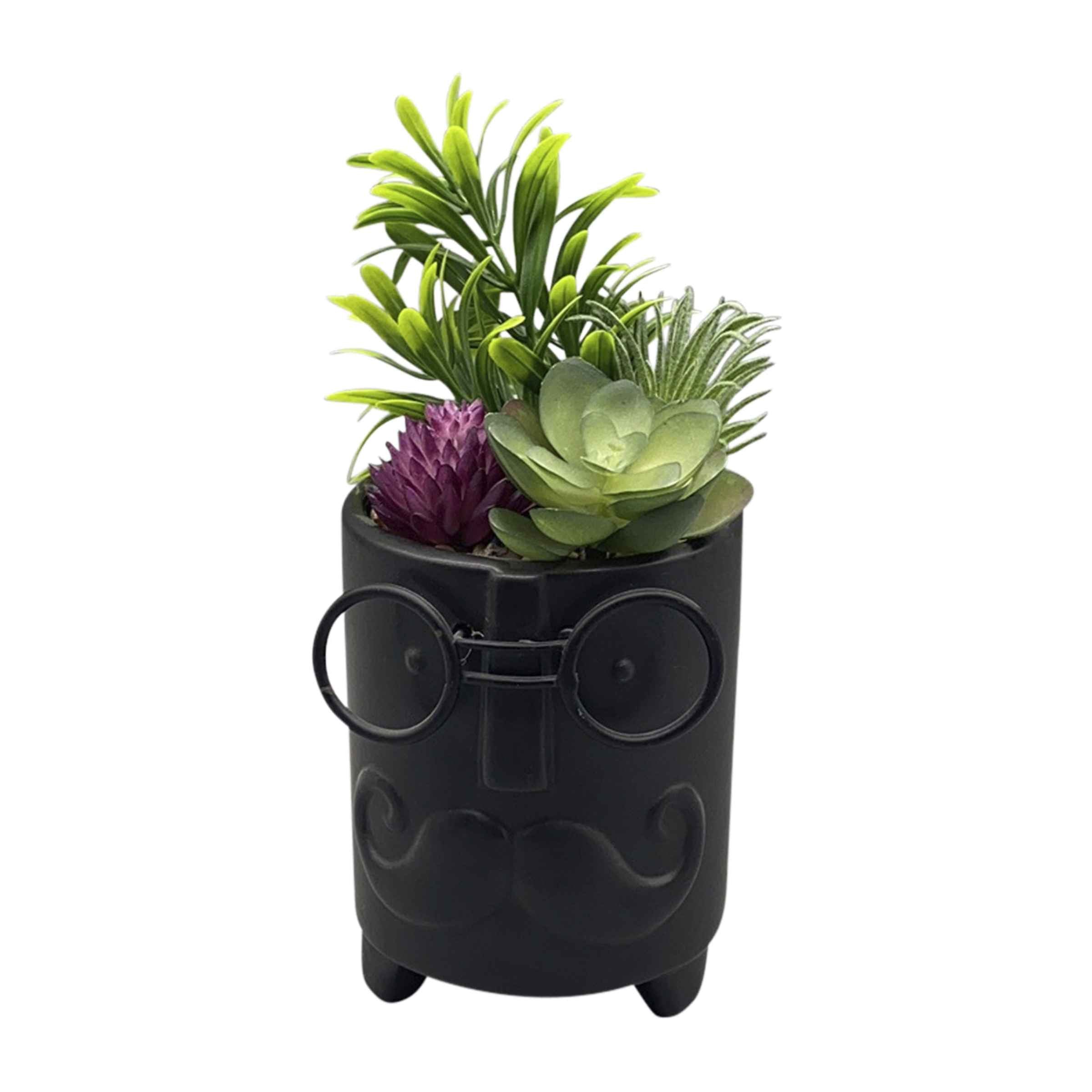 Face Ceramic Planter With Artificial Plants 8.89 Cm - Black 16972-02 -  Planter Boxes - ebarza Furniture UAE | Shop Modern Furniture in Abu Dhabi & Dubai - مفروشات ايبازرا في الامارات | تسوق اثاث عصري وديكورات مميزة في دبي وابوظبي