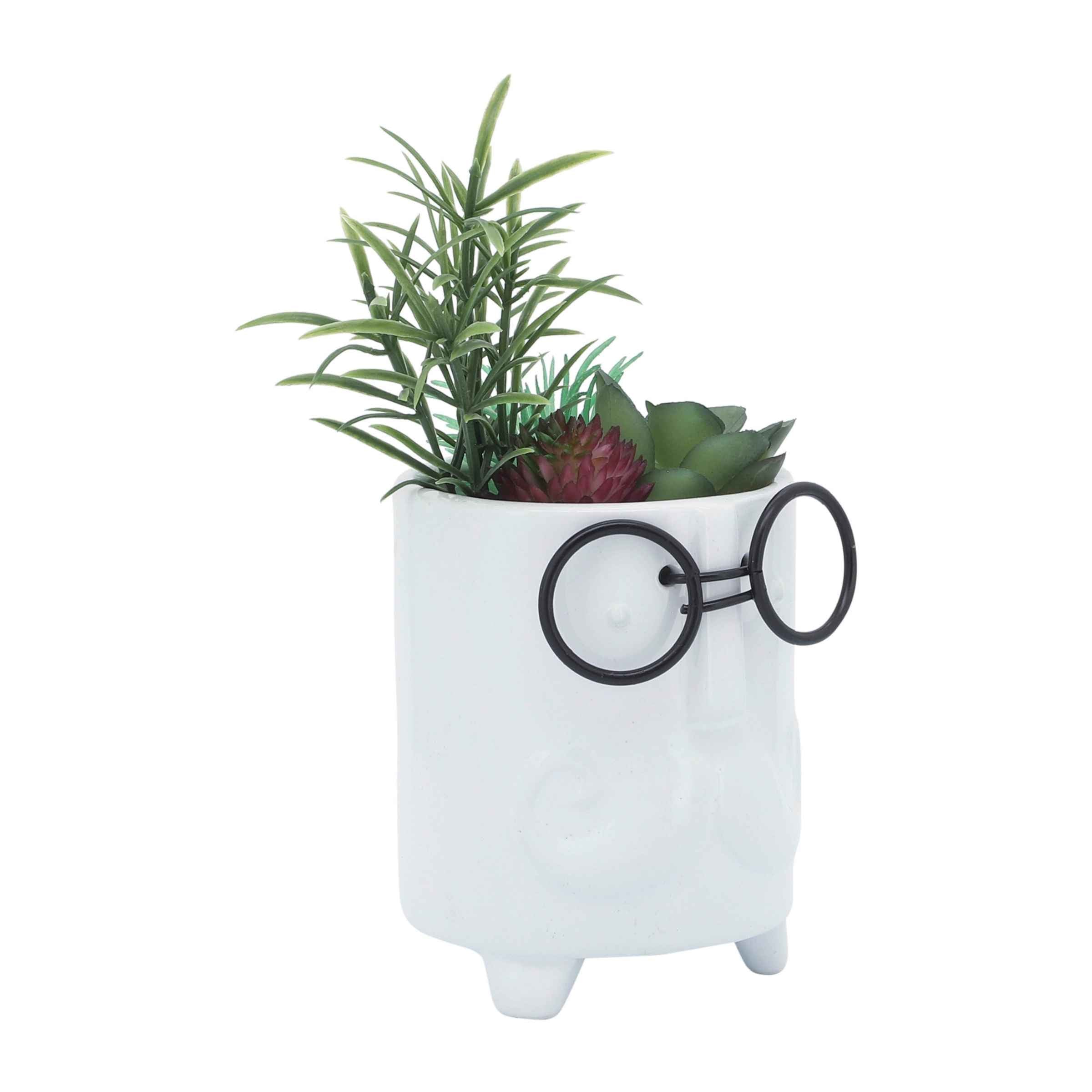 Face Ceramic Planter With Artificial Plants 8.89 Cm - White 16972-01 -  Planter Boxes - ebarza Furniture UAE | Shop Modern Furniture in Abu Dhabi & Dubai - مفروشات ايبازرا في الامارات | تسوق اثاث عصري وديكورات مميزة في دبي وابوظبي