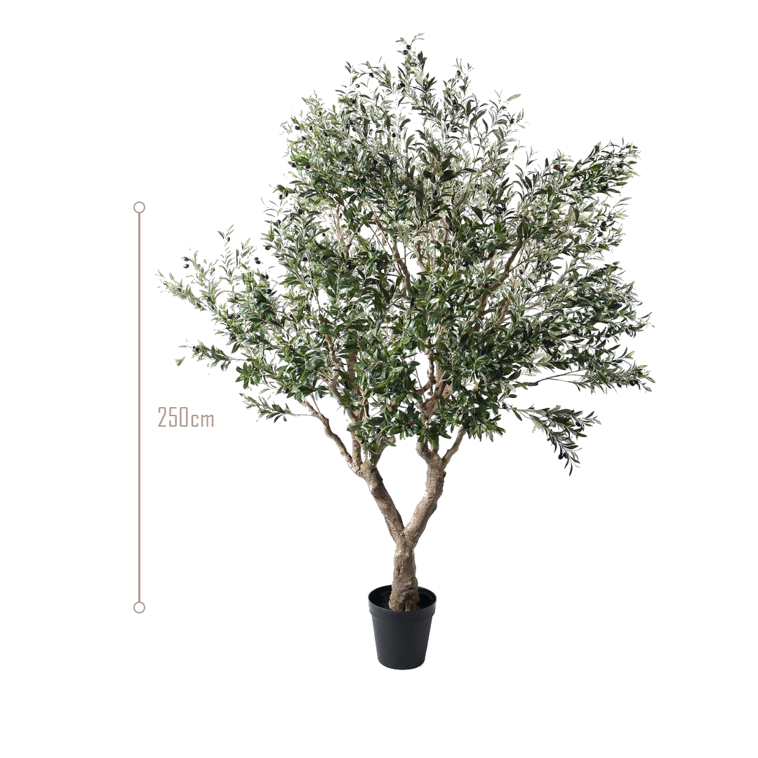 Simulated Olive Tree CT01-Olive -  Plants - ebarza Furniture UAE | Shop Modern Furniture in Abu Dhabi & Dubai - مفروشات ايبازرا في الامارات | تسوق اثاث عصري وديكورات مميزة في دبي وابوظبي